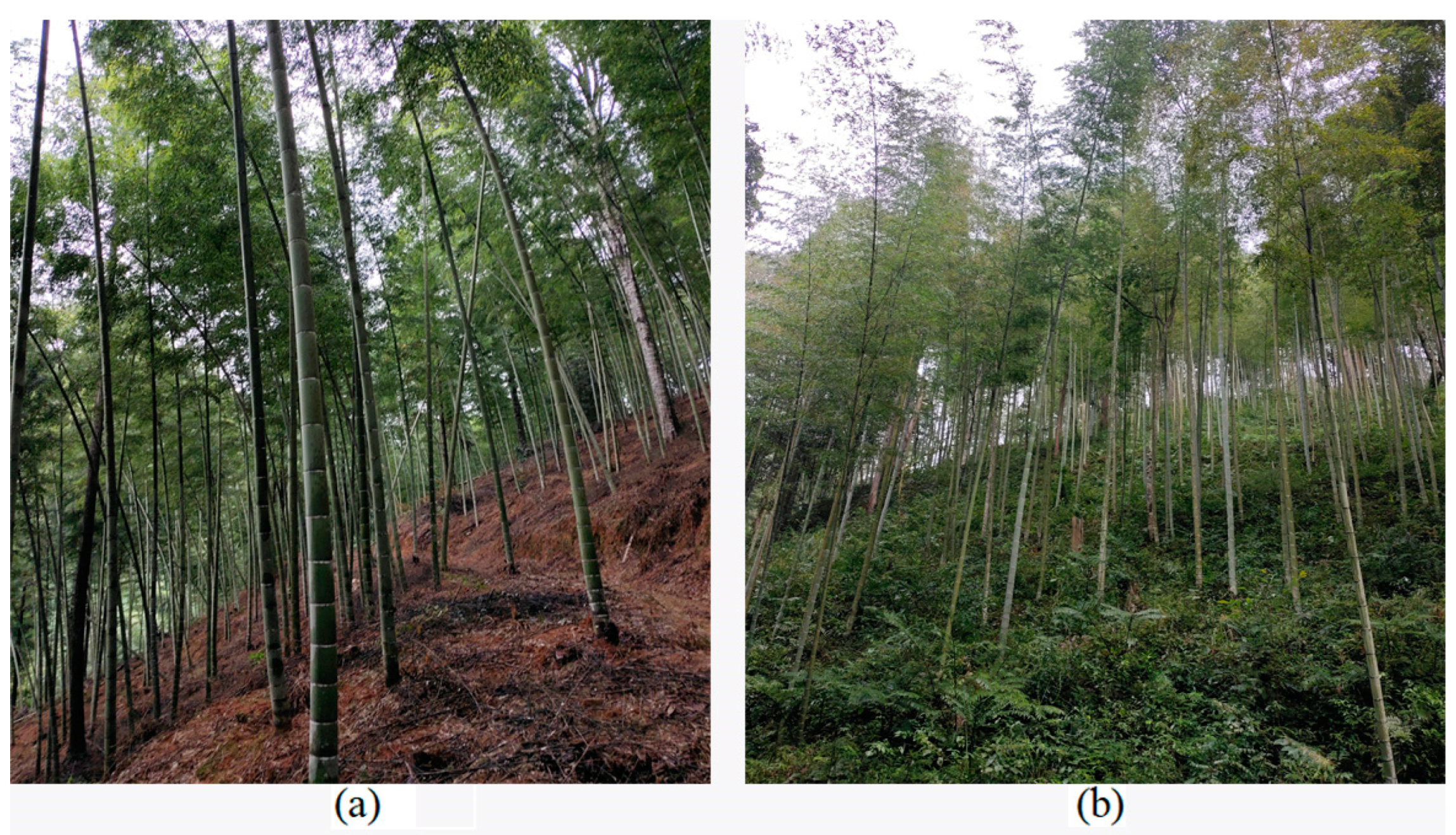 Remotesensing 14 05012 g011 Remotesensing 14 05012 g011