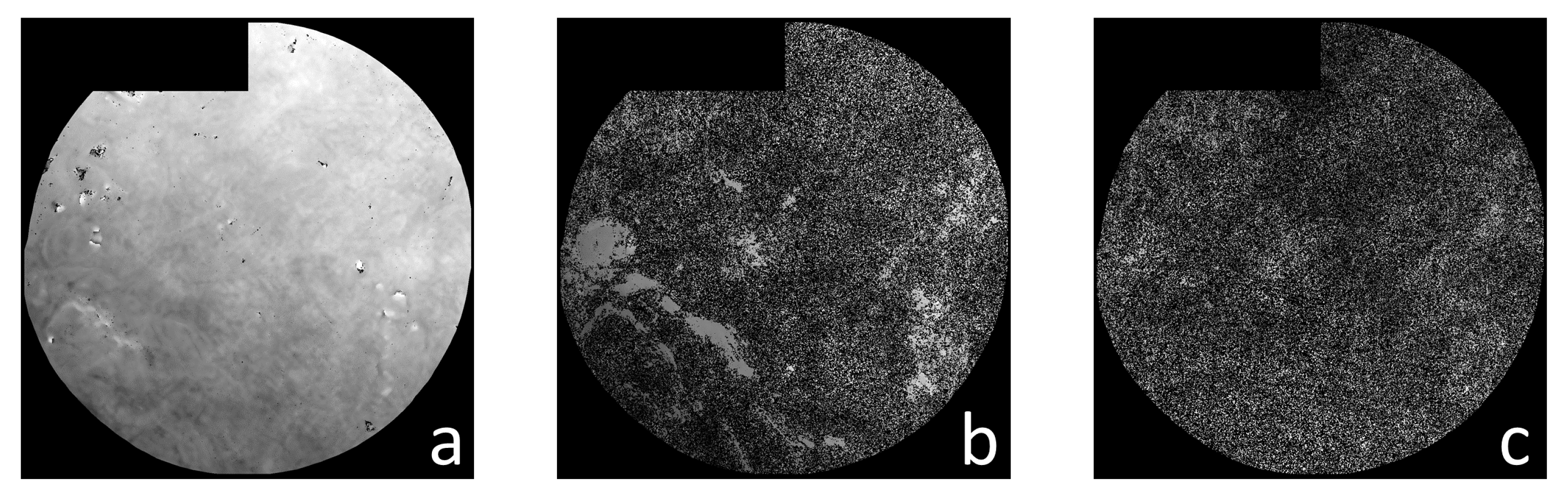 Remotesensing 14 05036 g002