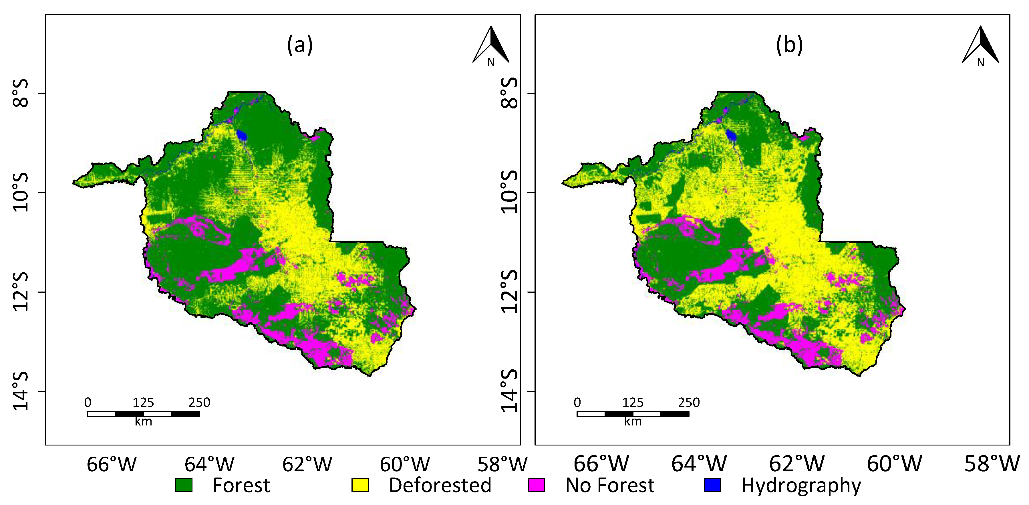 Rapid growth of anthropogenic organic nanoparticles greatly alters cloud  life cycle in the  rainforest