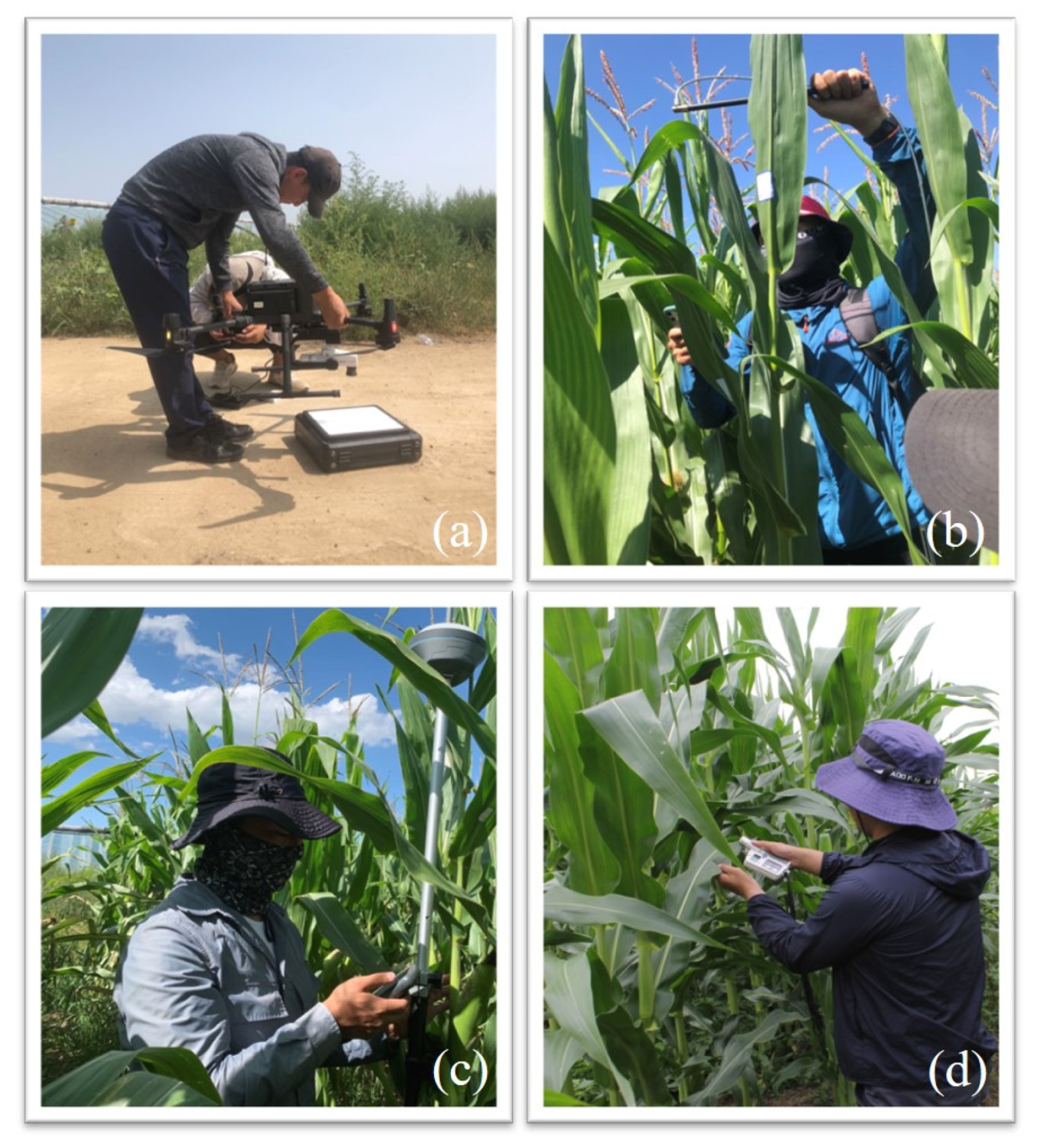 Remotesensing 14 05407 g002 Remotesensing 14 05407 g002