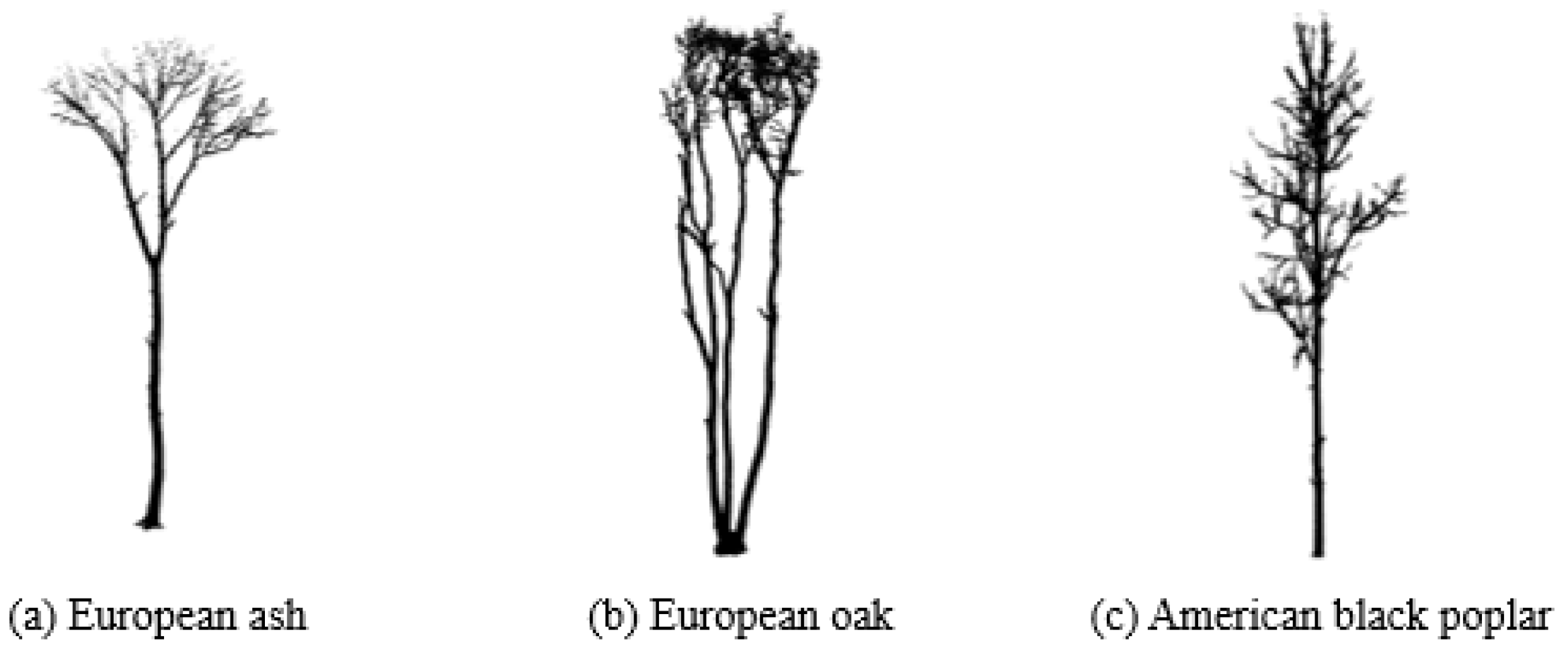 Remotesensing 14 06097 g002 Remotesensing 14 06097 g002