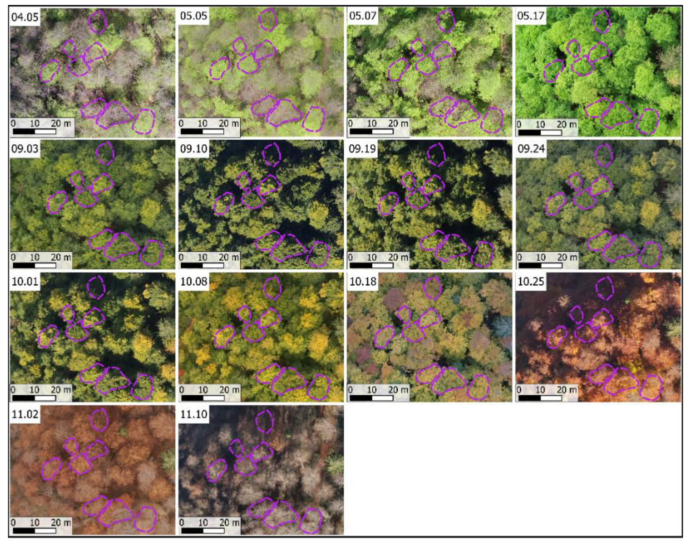 Remotesensing 14 06198 g002