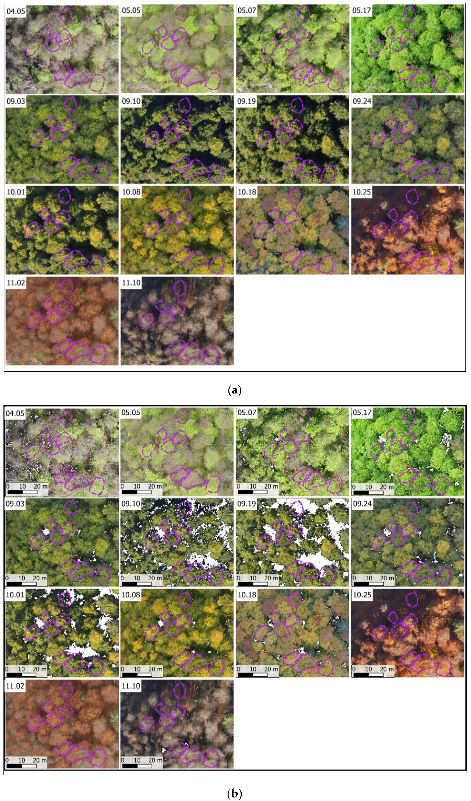 Remotesensing 14 06198 g0a2