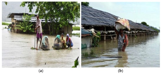 Assam Floods Projects :: Photos, videos, logos, illustrations and branding  :: Behance