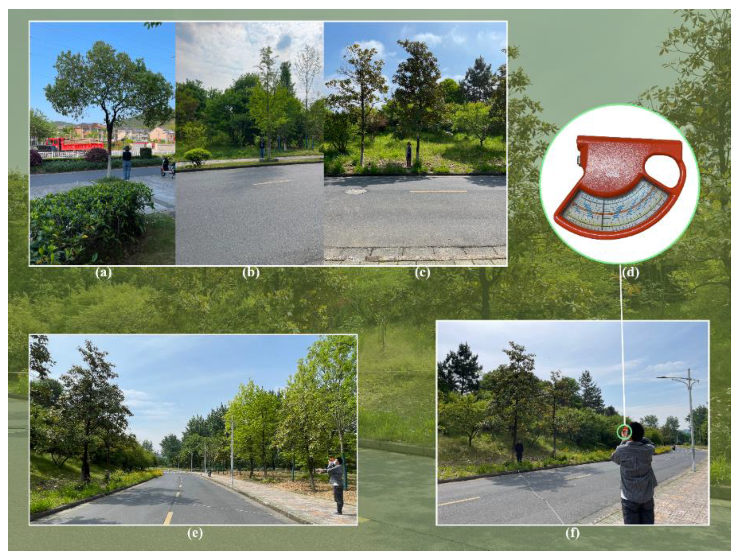 Remotesensing 15 00097 g002 Remotesensing 15 00097 g002