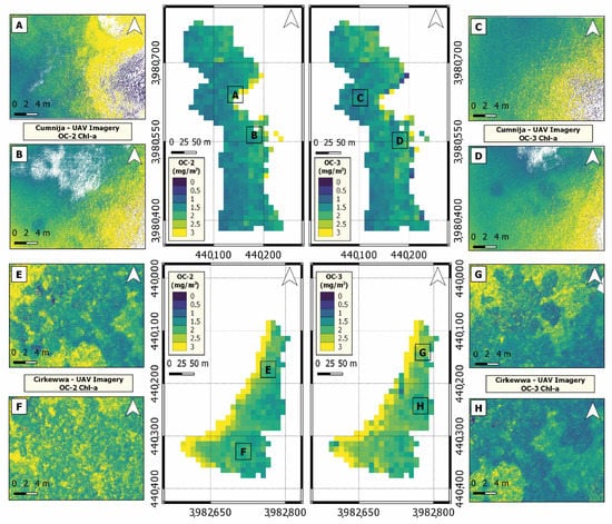 Dye tracing and concentration mapping in coastal waters using unmanned  aerial vehicles