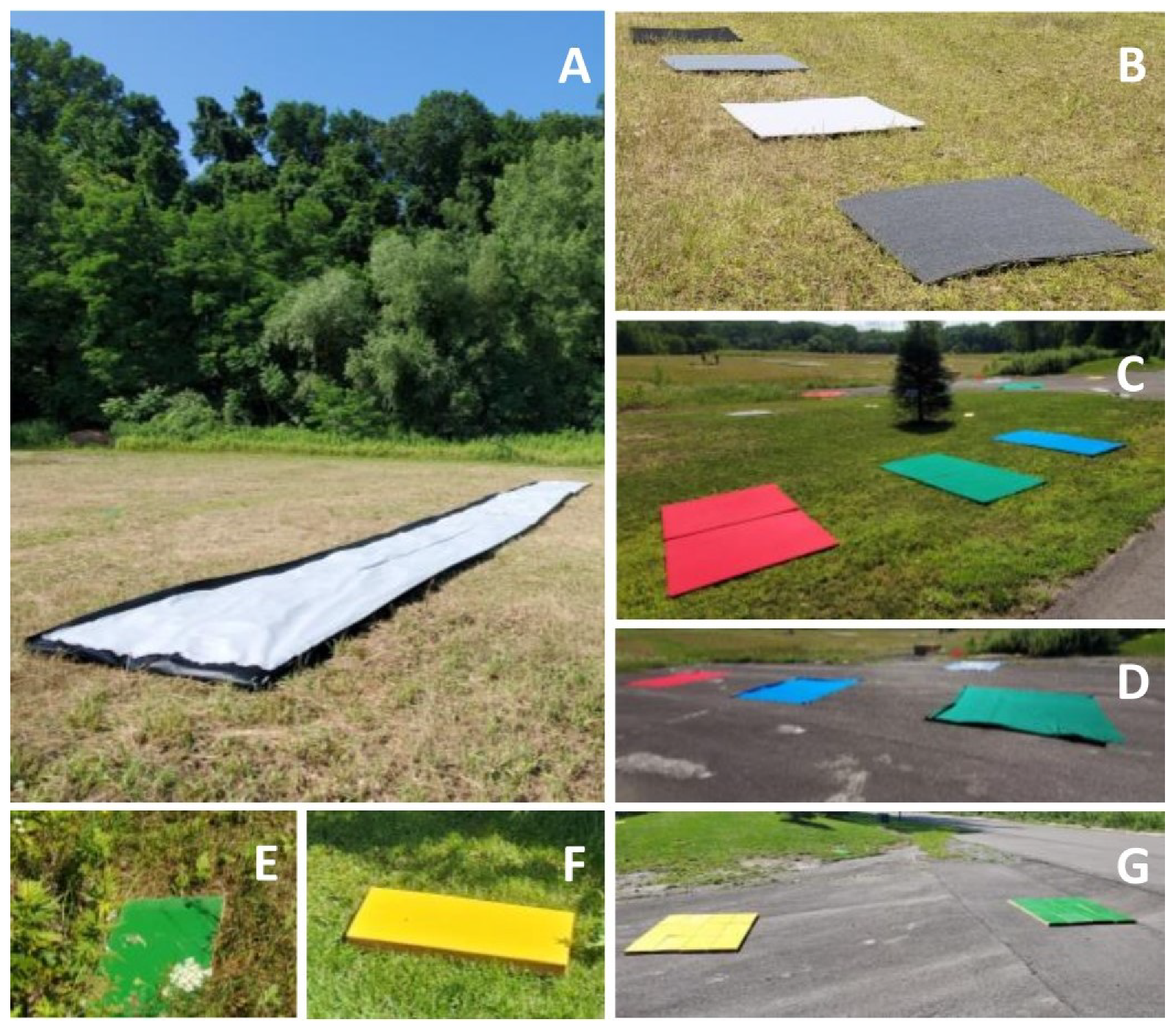 Remotesensing 15 00294 g005