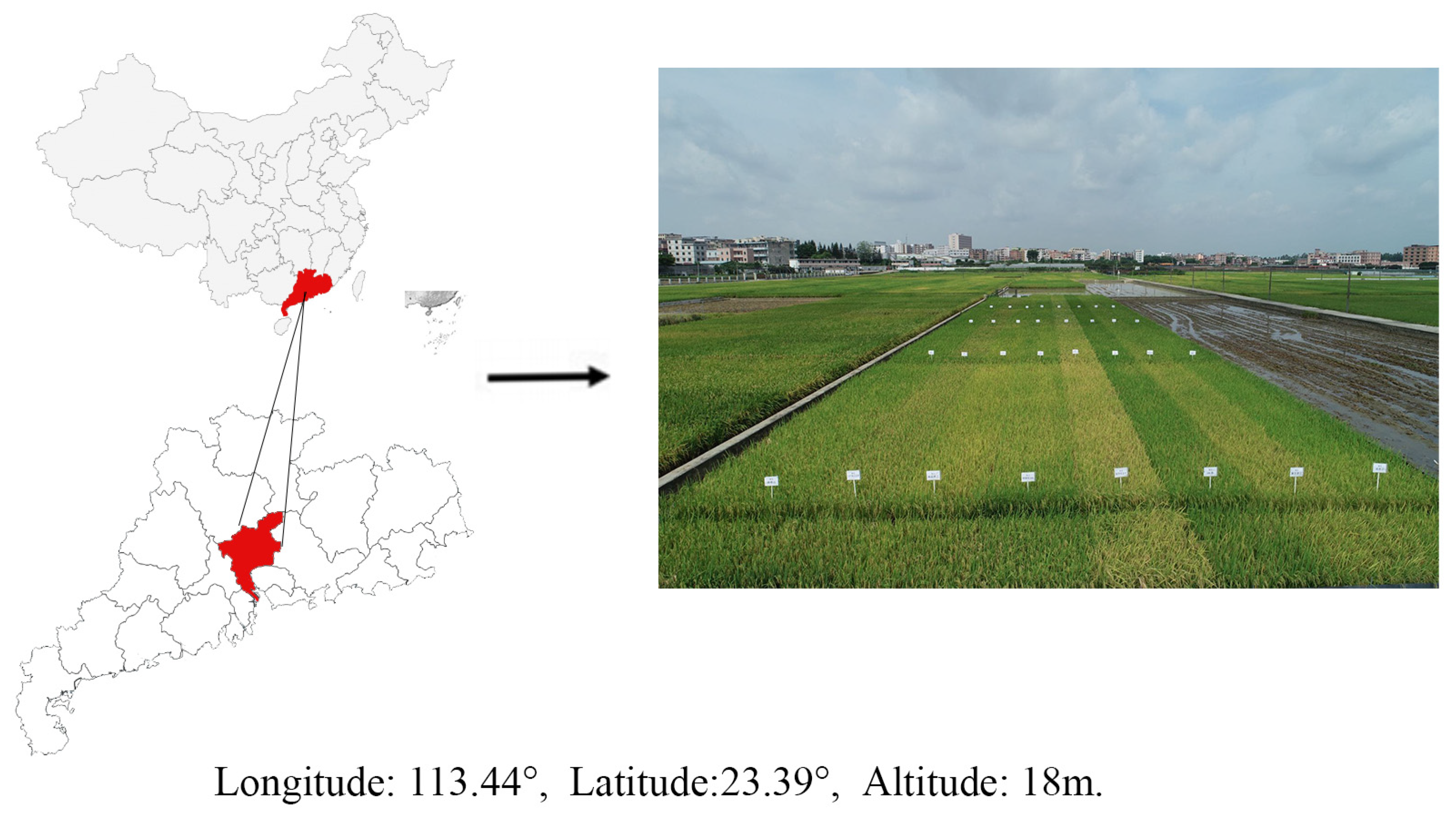 Remotesensing 15 00453 g001 Remotesensing 15 00453 g001