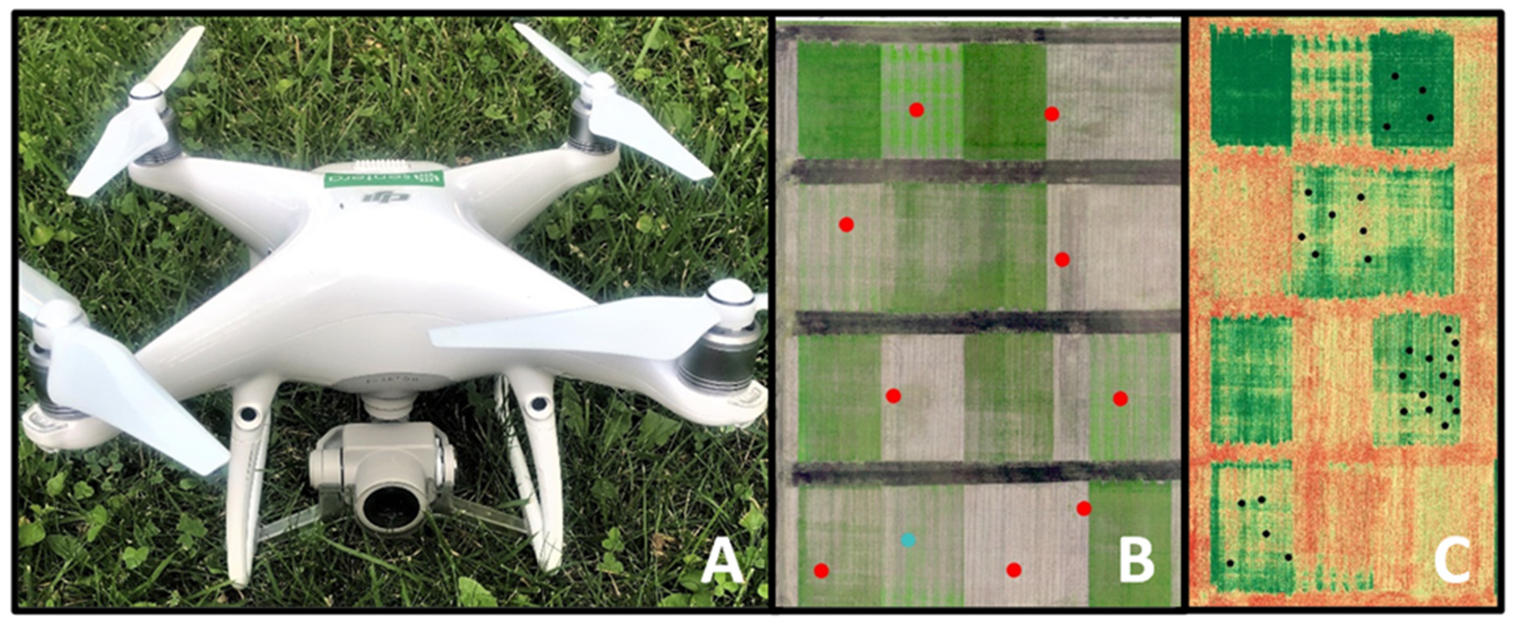 Remotesensing 15 00580 g001