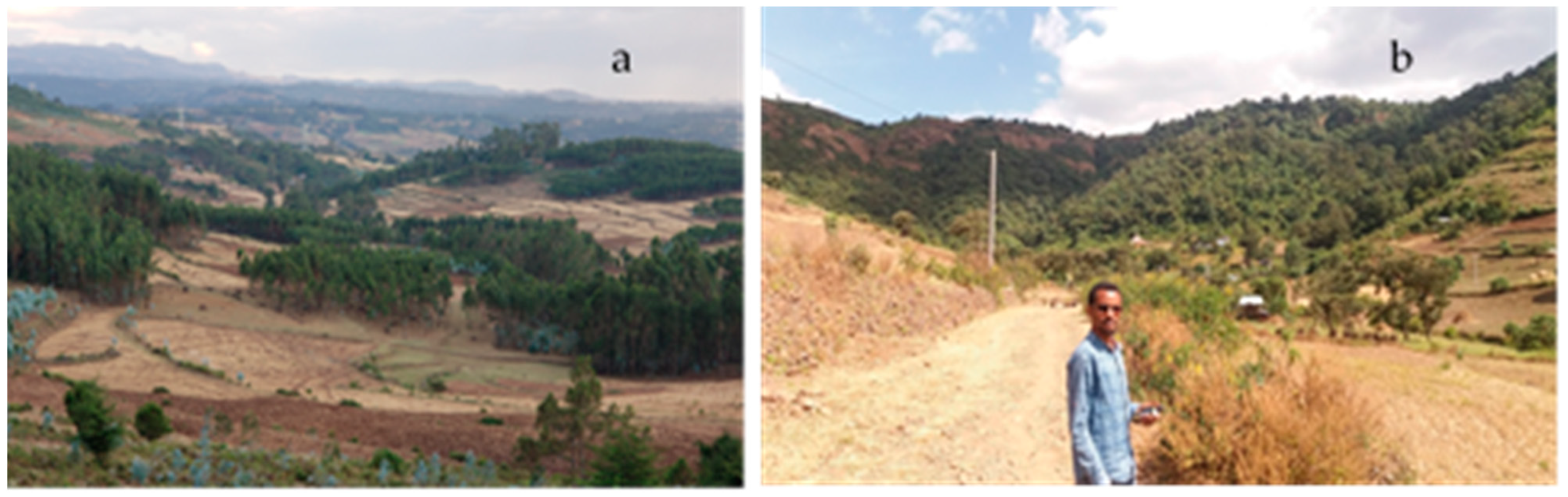 Remotesensing 15 00661 g002 Remotesensing 15 00661 g002