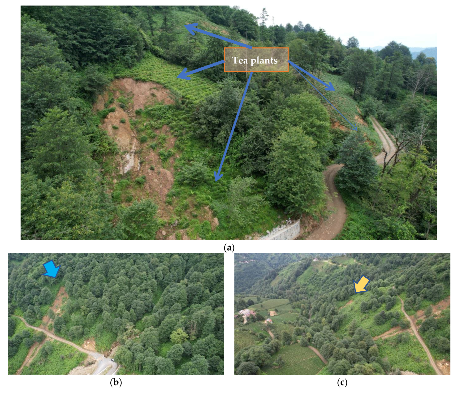 Remotesensing 15 01006 g017