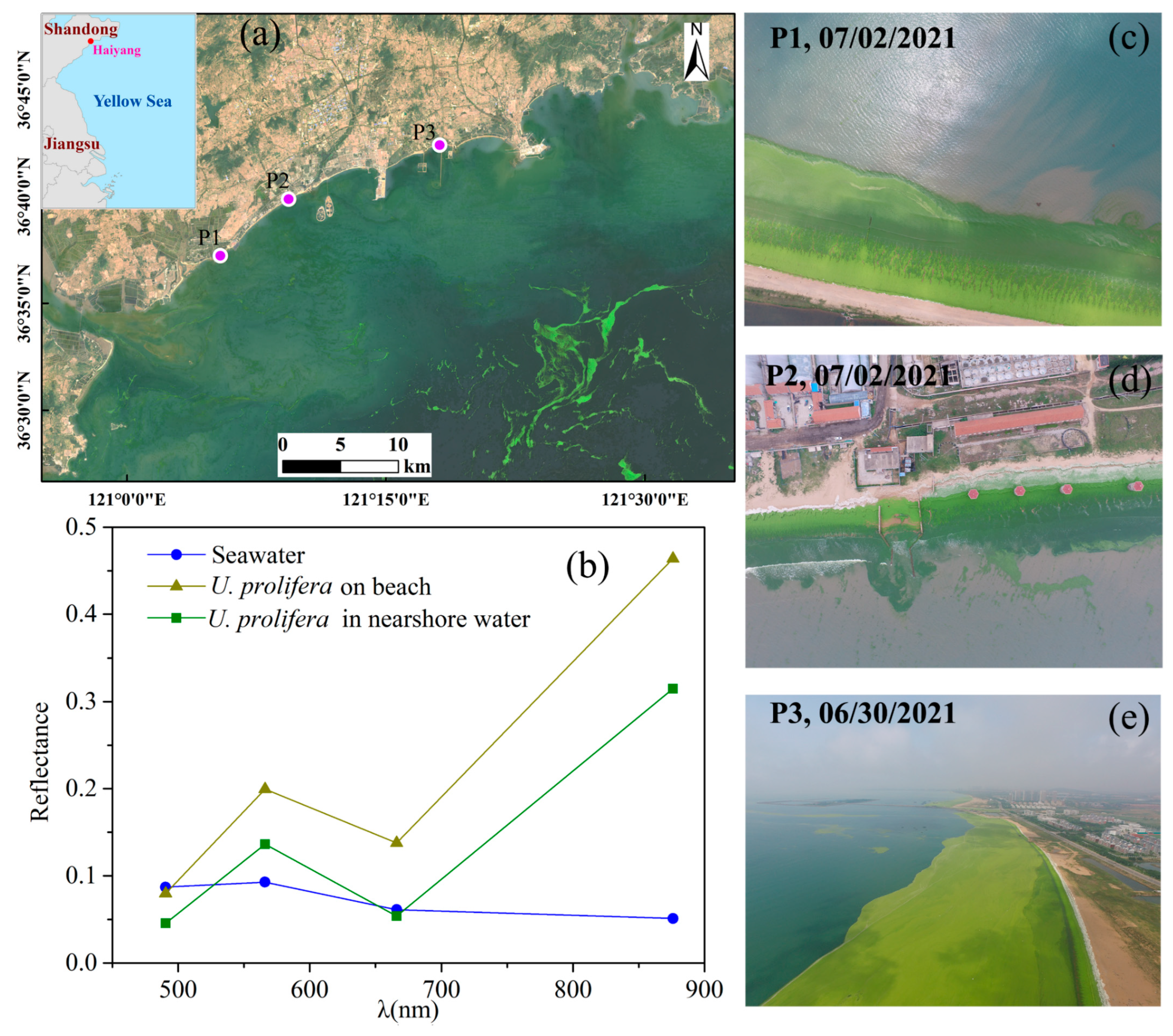 Remotesensing 15 01101 g001 Remotesensing 15 01101 g001
