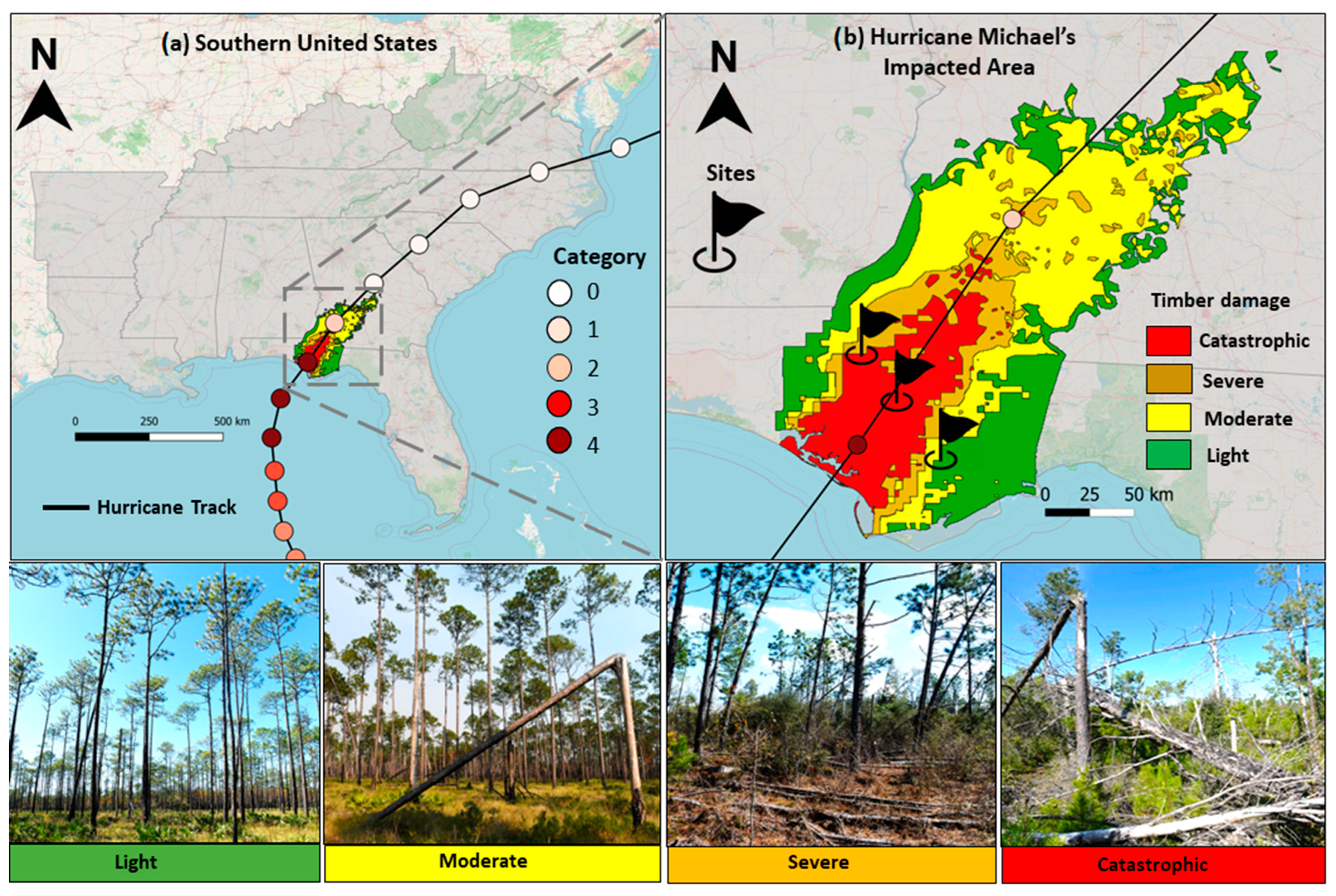 Remote Sensing | Free Full-Text | Post-Hurricane Damage Severity  Classification at the Individual Tree Level Using Terrestrial Laser  Scanning and Deep Learning