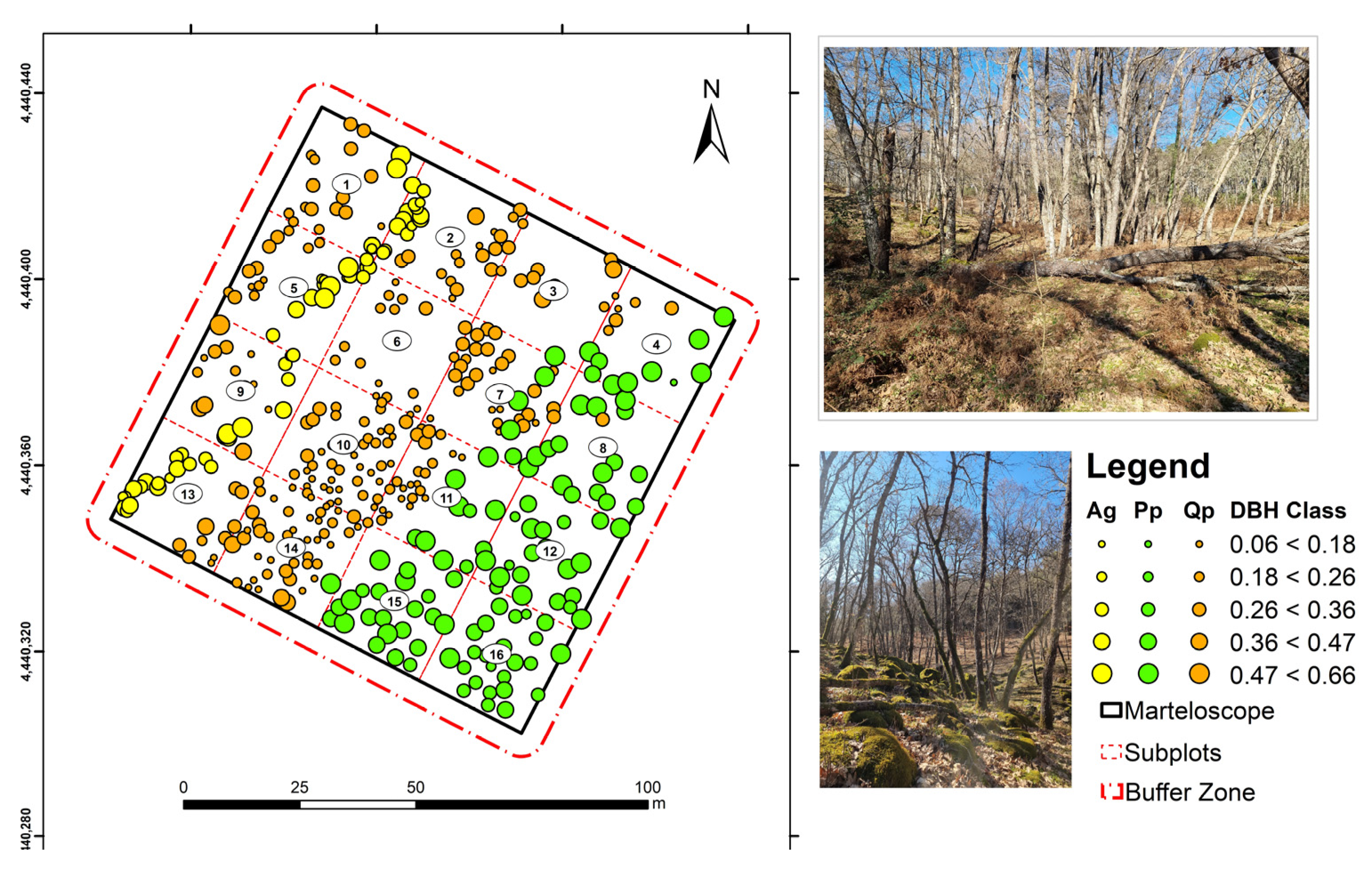 Remotesensing 15 01169 g002 Remotesensing 15 01169 g002