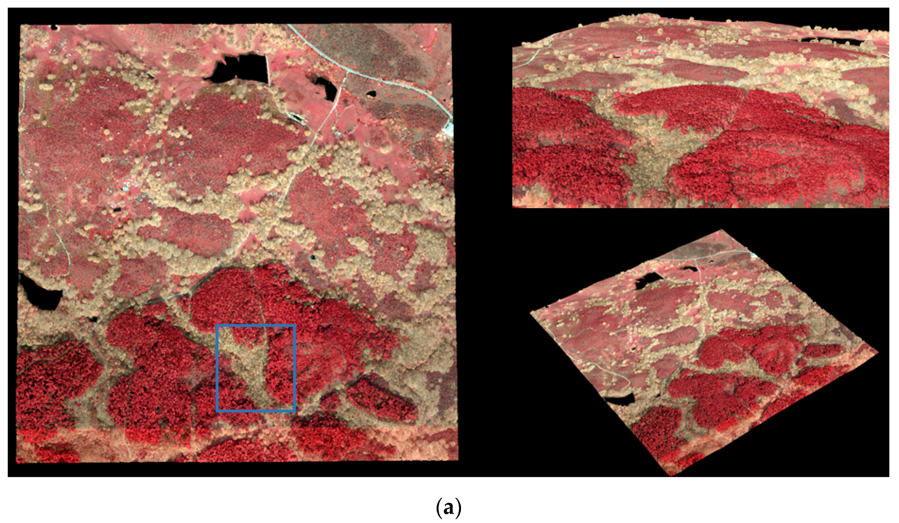 Remotesensing 15 01169 g004a Remotesensing 15 01169 g004a