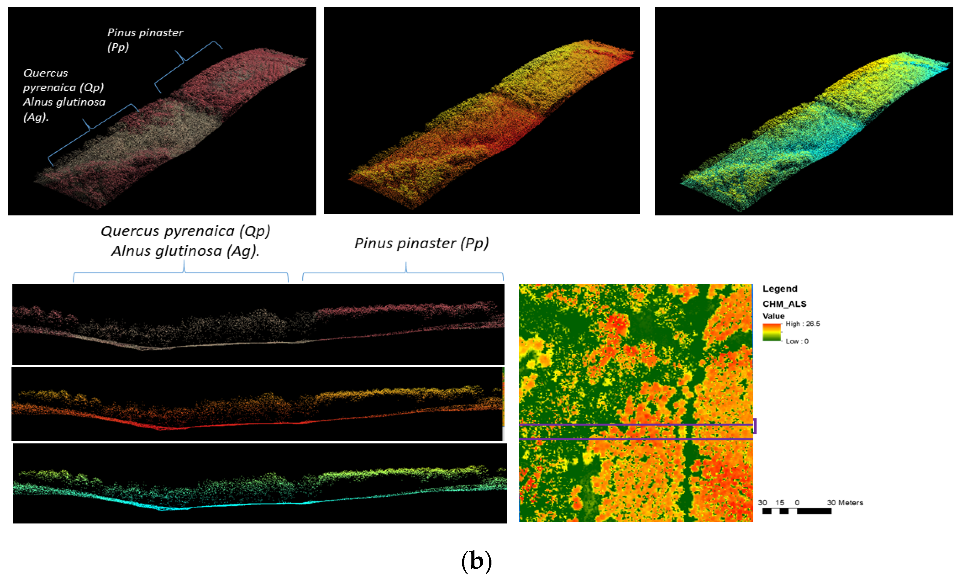 Remotesensing 15 01169 g004b Remotesensing 15 01169 g004b