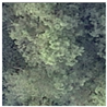 Remotesensing 15 01181 i005 Remotesensing 15 01181 i005