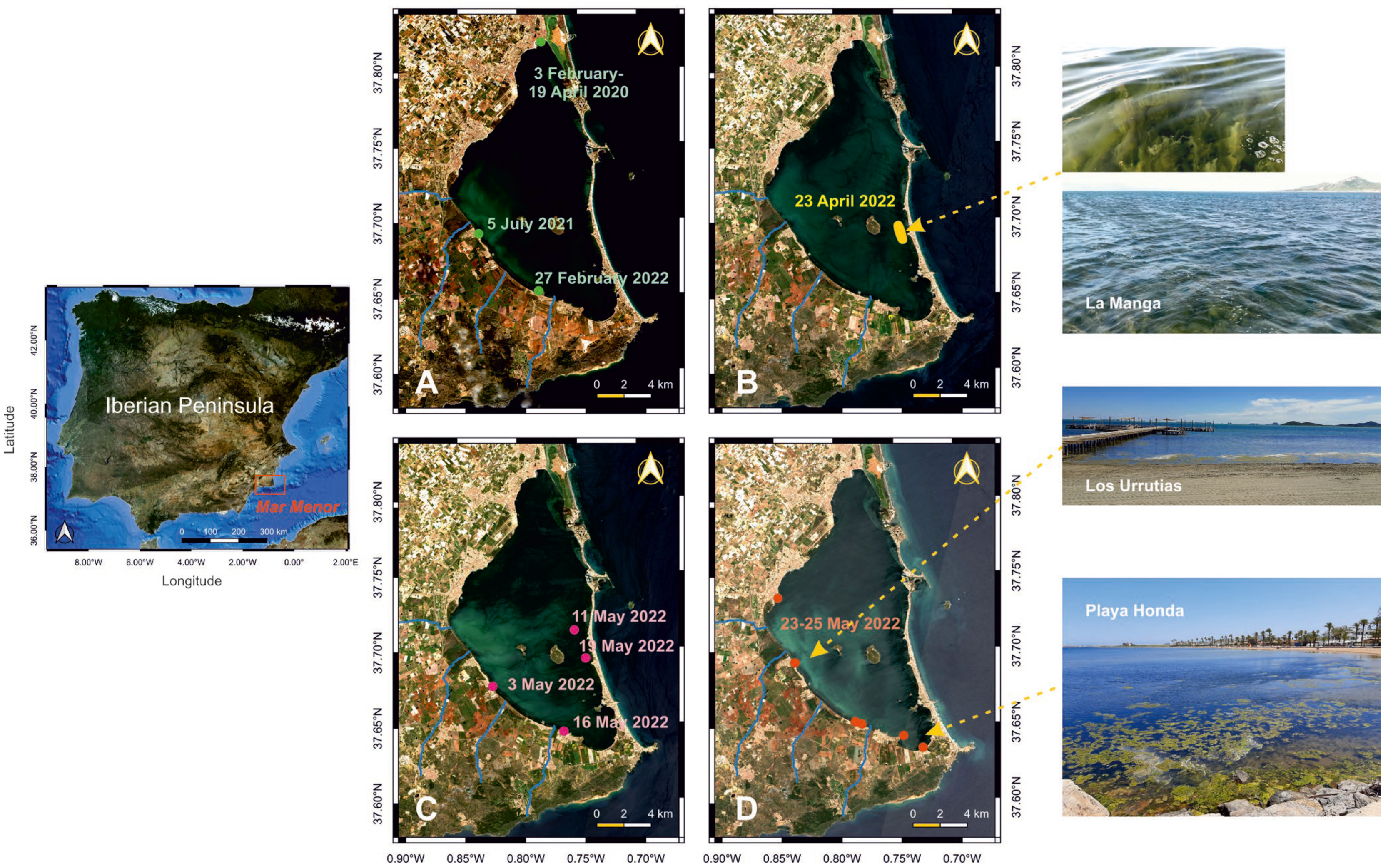 Remote Sensing | Free Full-Text | Machine Learning for Detection of  Macroalgal Blooms in the Mar Menor Coastal Lagoon Using Sentinel-2