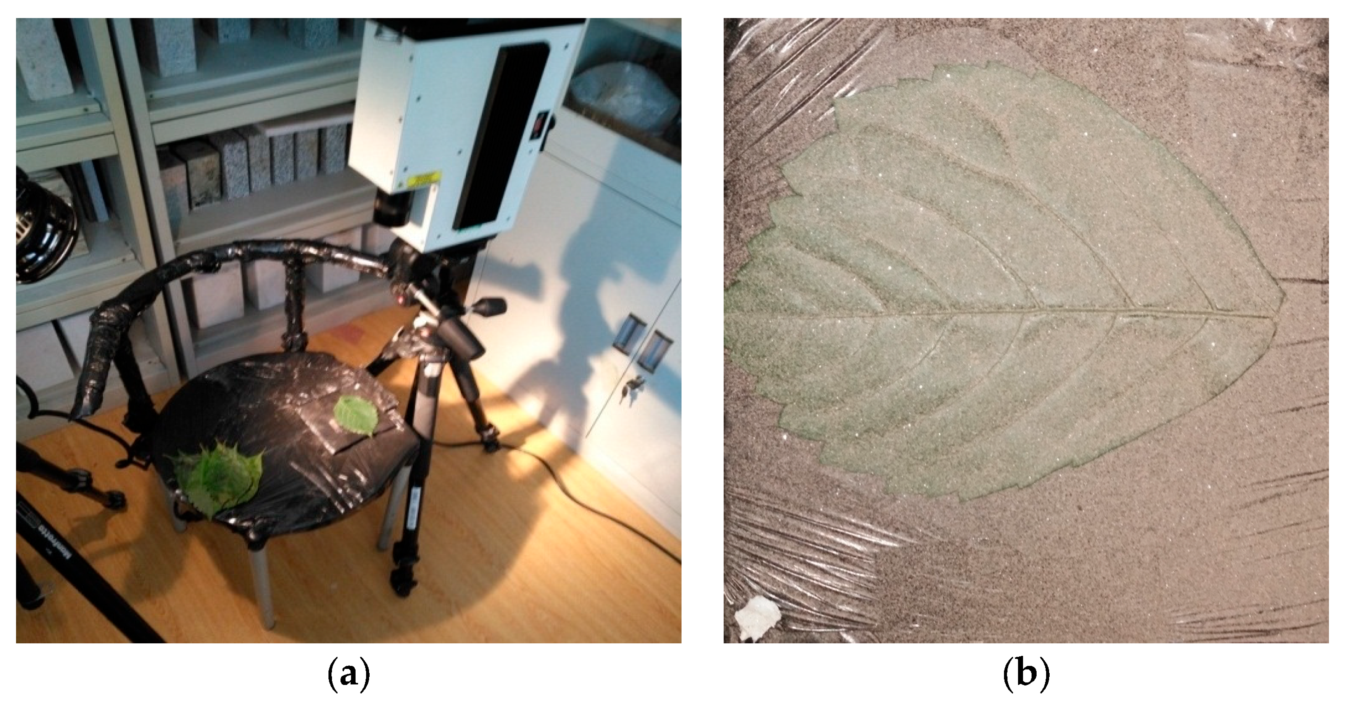 Remotesensing 15 01220 g002