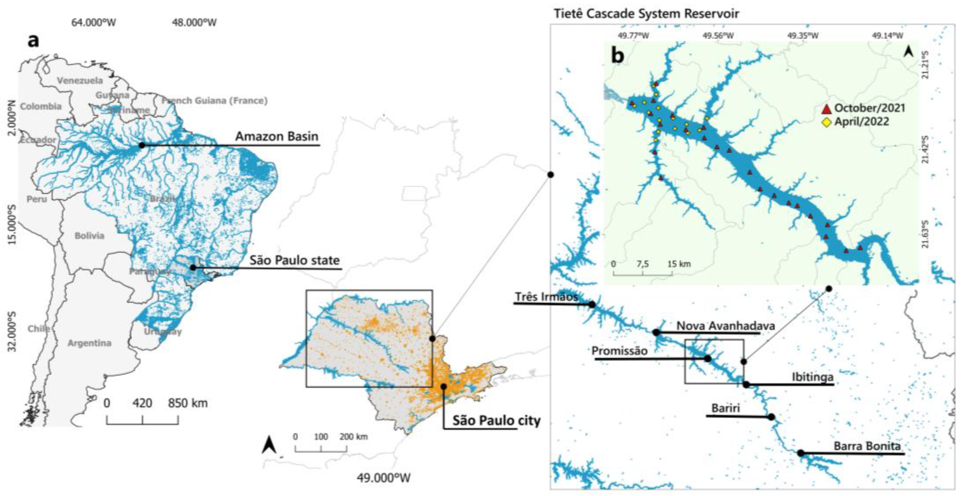 Remote Sensing | Free Full-Text | Assessment of Estimated Phycocyanin and  Chlorophyll-a Concentration from PRISMA and OLCI in Brazilian Inland  Waters: A Comparison between Semi-Analytical and Machine Learning Algorithms