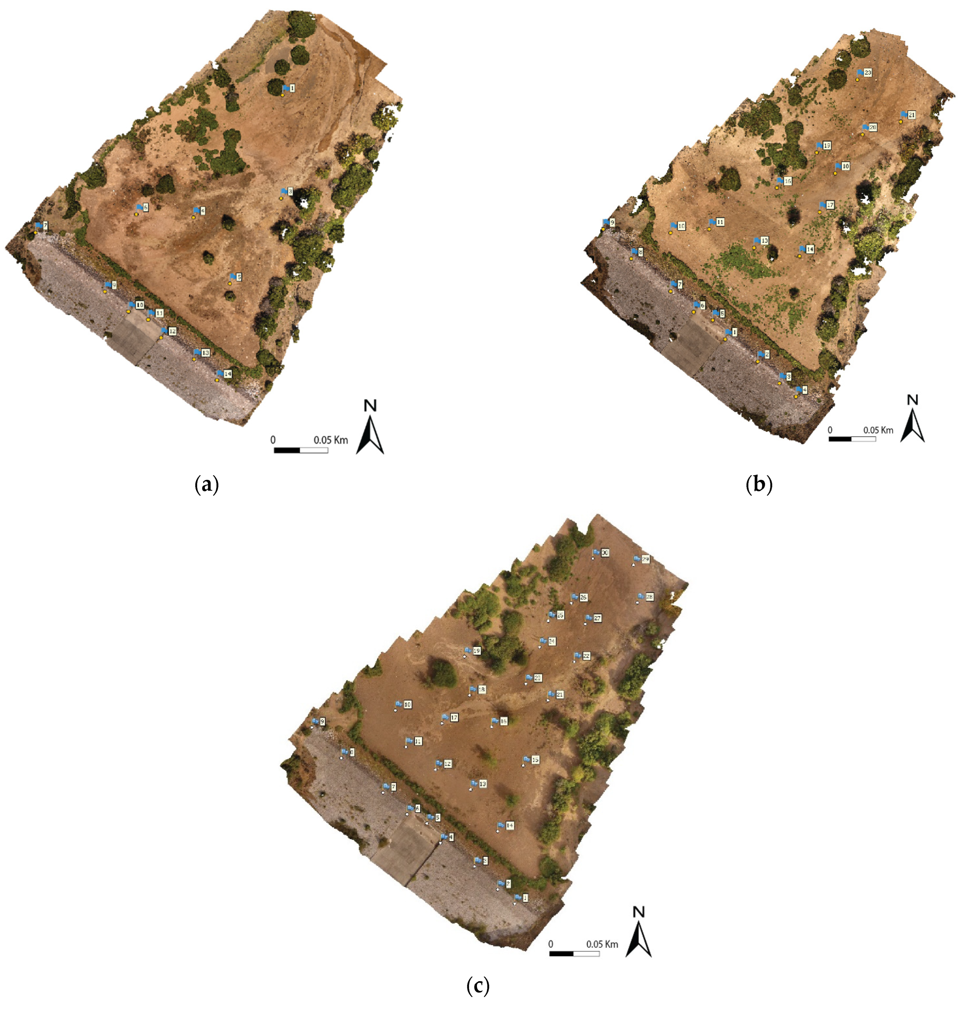 Remotesensing 15 01339 g003