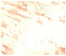 Remotesensing 15 01368 i004 Remotesensing 15 01368 i004
