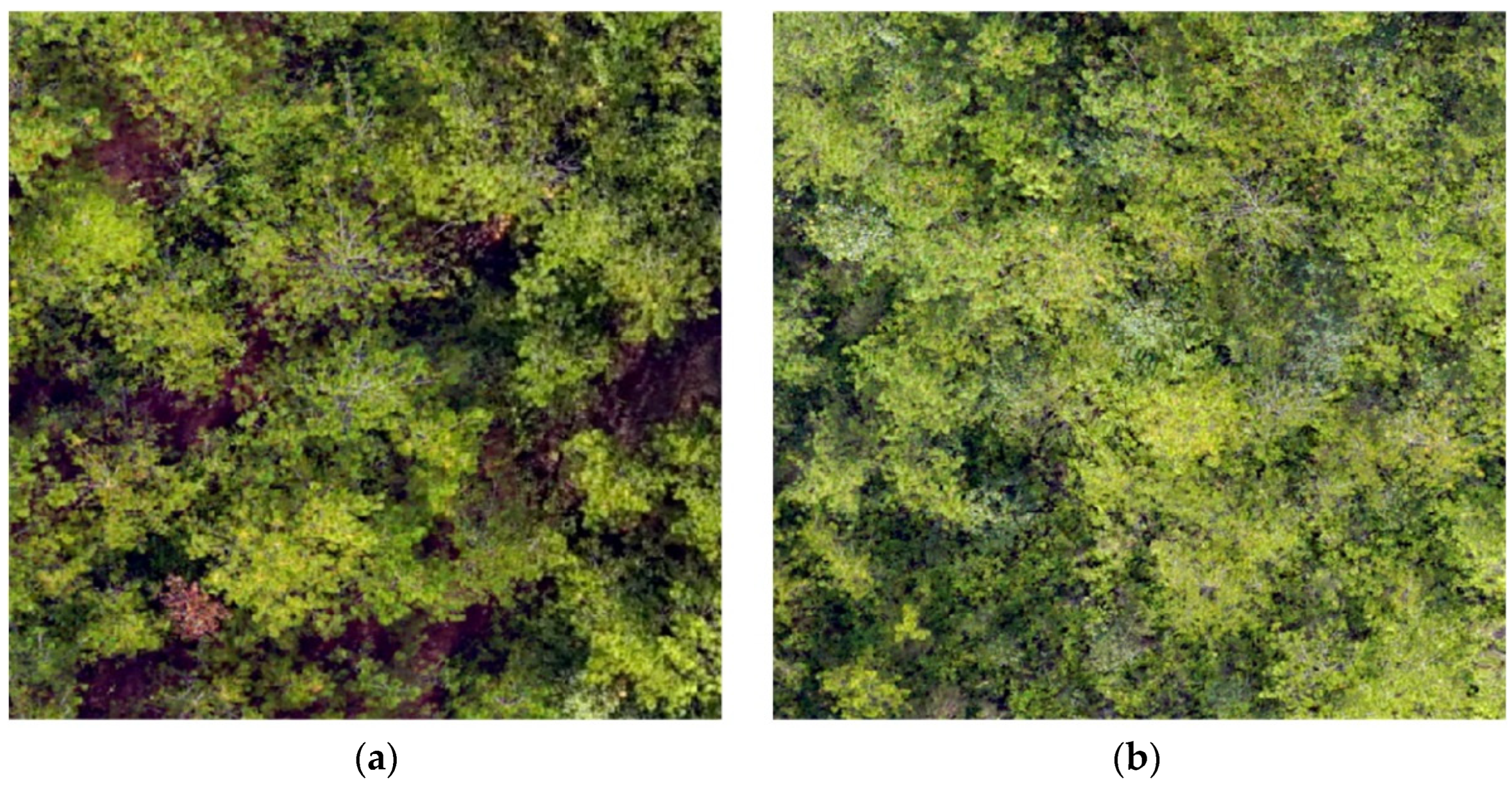 Remotesensing 15 01470 g004