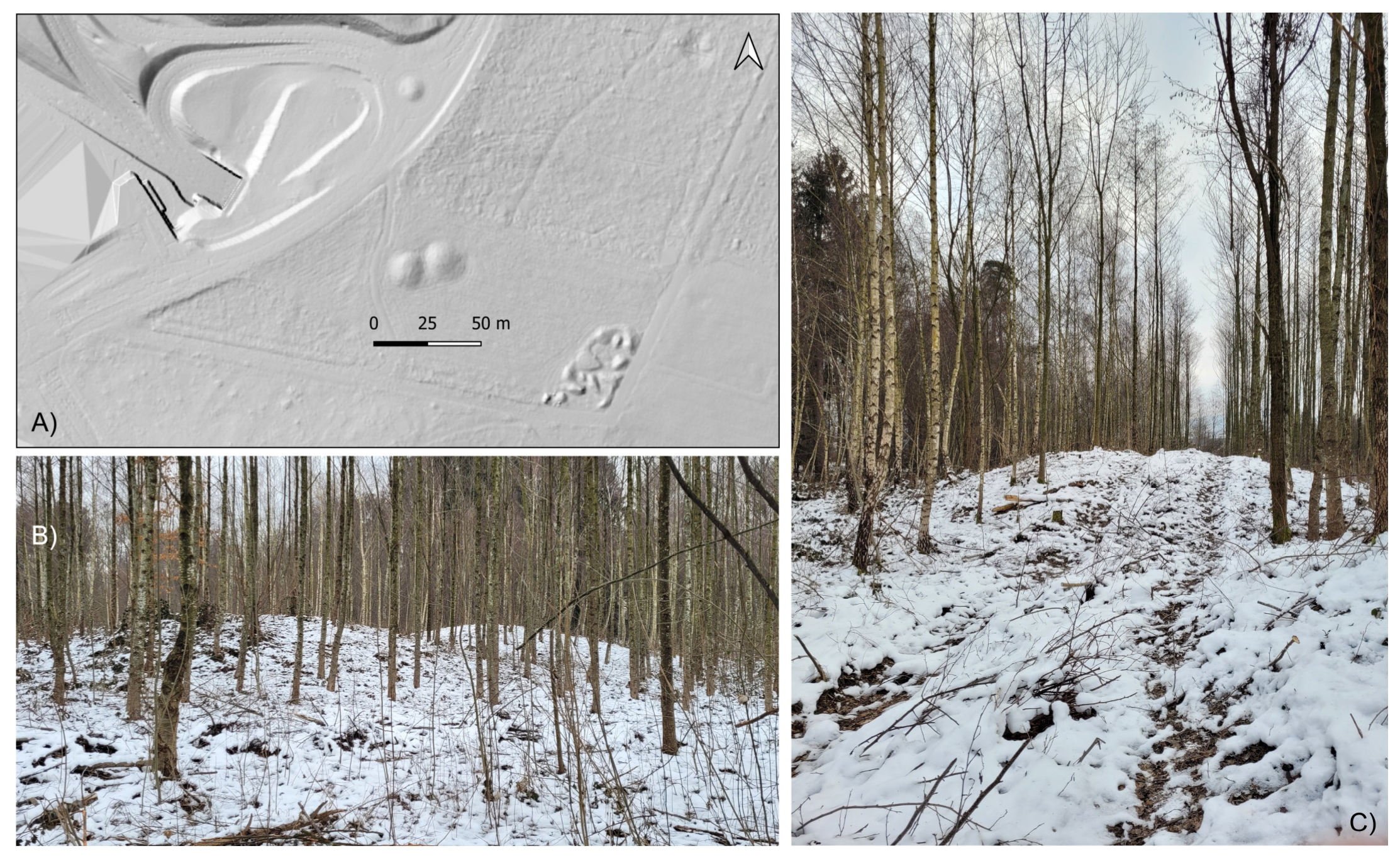 Remotesensing 15 01569 g006