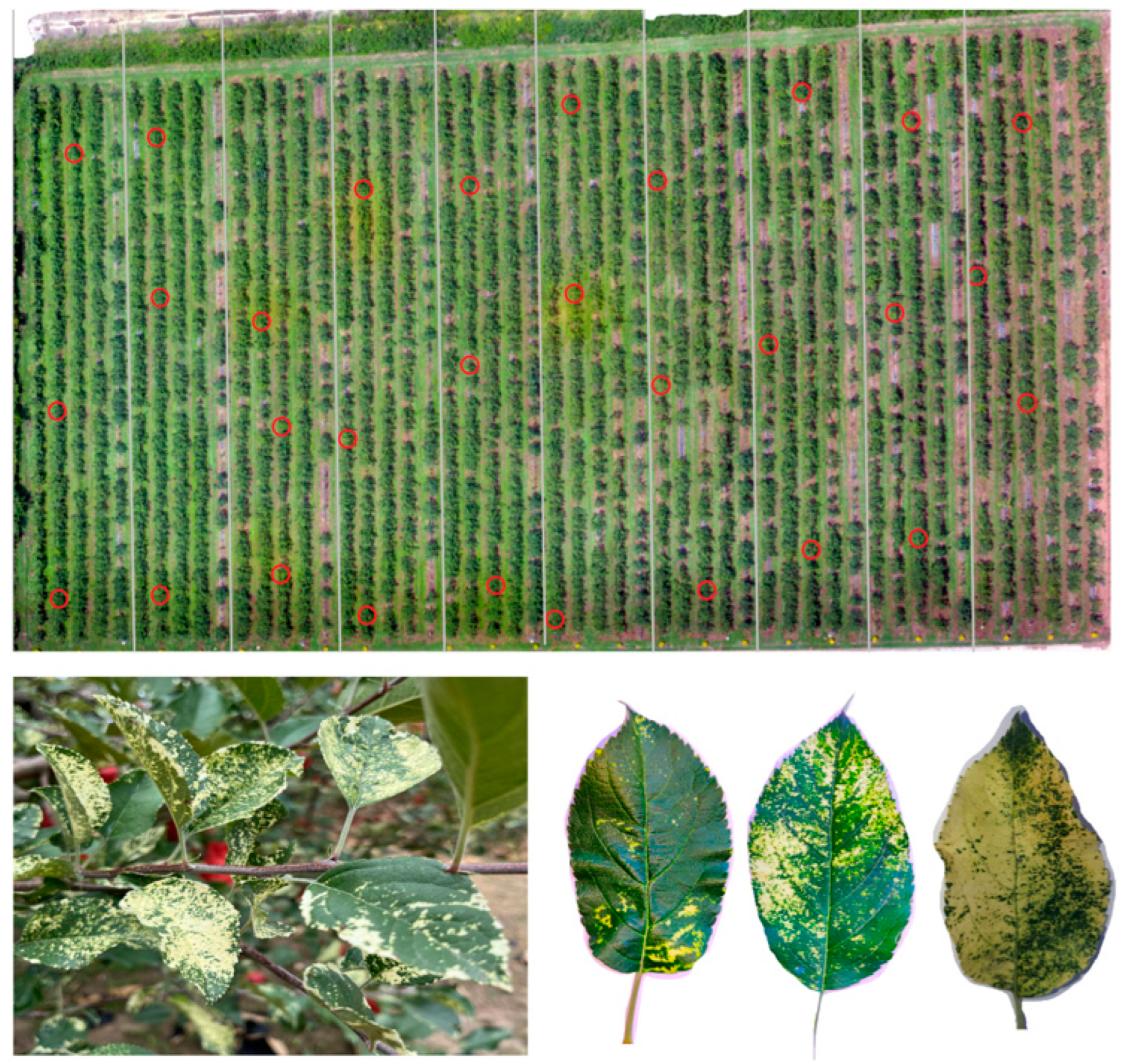 Remotesensing 15 01732 g002