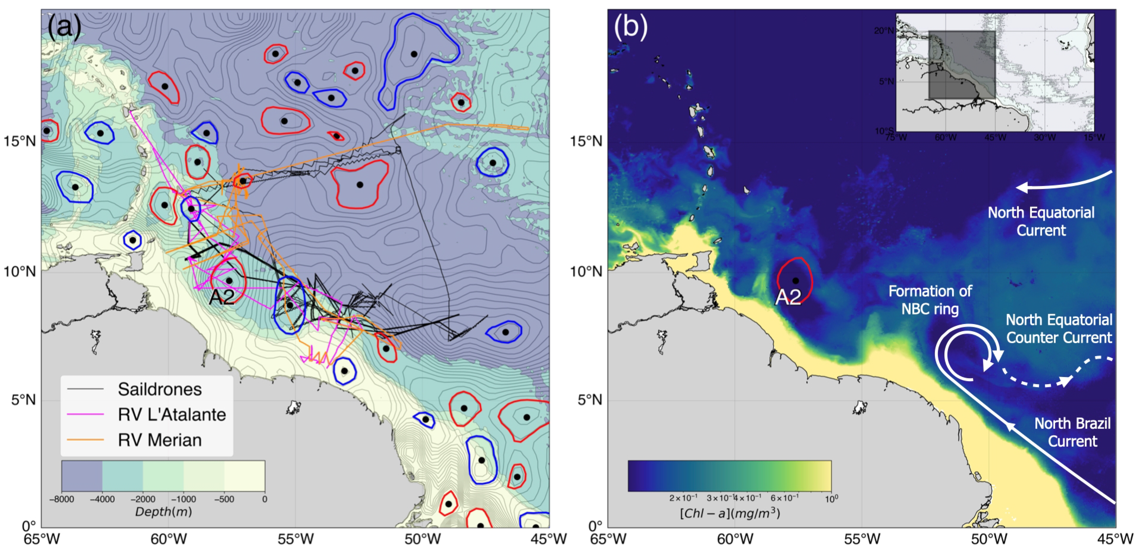 Remote Sensing | Free Full-Text | Combining an Eddy Detection Algorithm  with In-Situ Measurements to Study North Brazil Current Rings