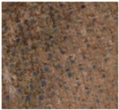 Remotesensing 15 01900 i003 Remotesensing 15 01900 i003
