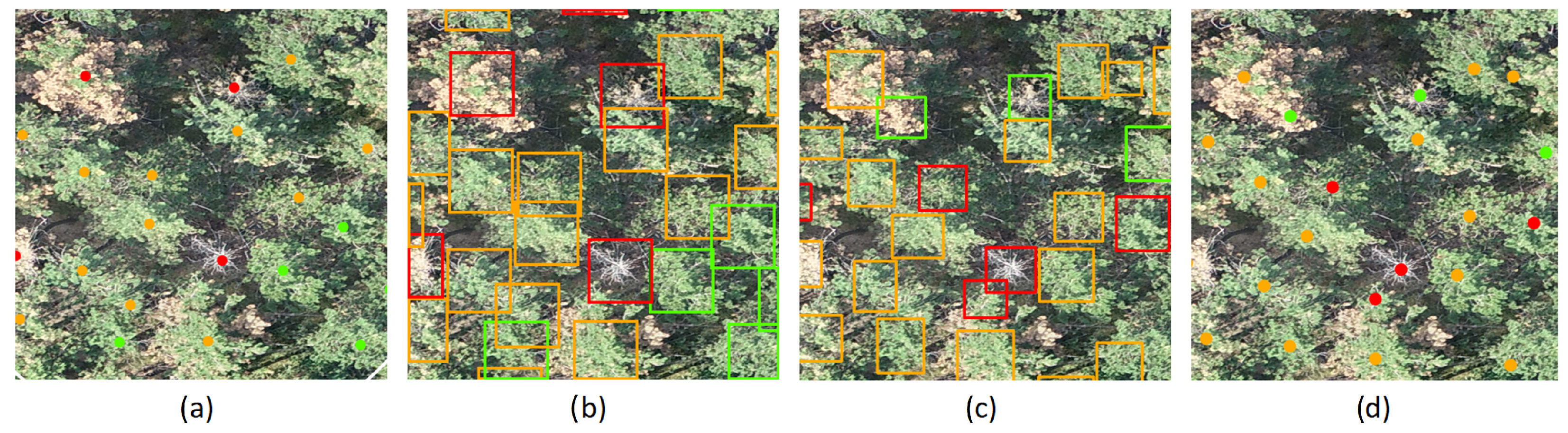 Remotesensing 15 01964 g004