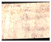 Remotesensing 15 02026 i008 Remotesensing 15 02026 i008