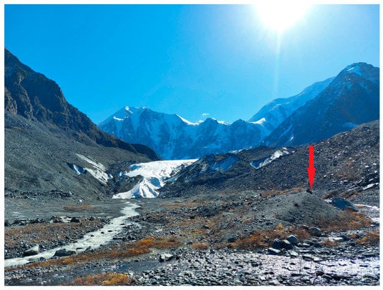Remote Sensing | Free Full-Text | Post-Little Ice Age Glacier 
