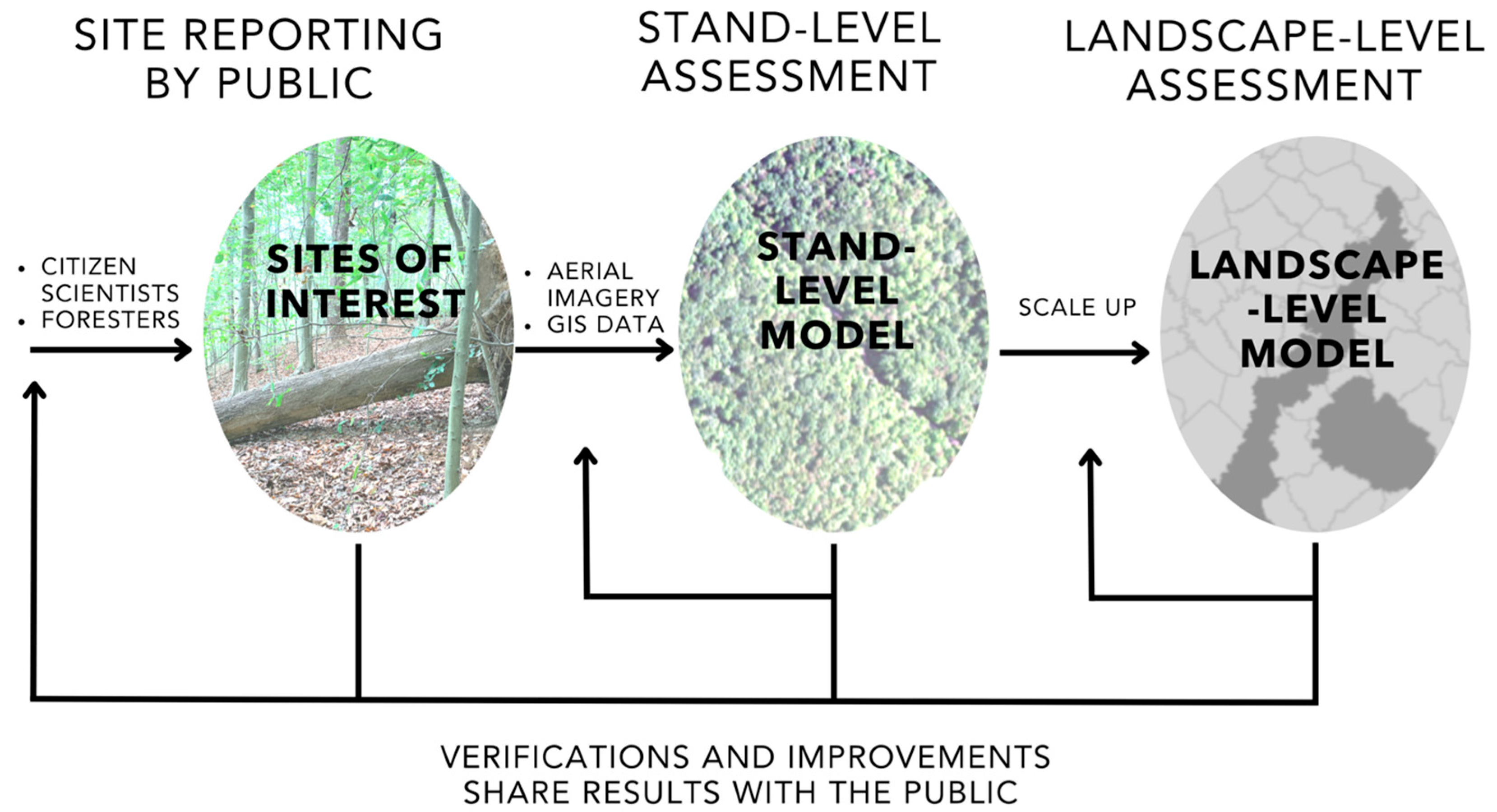 SAGA GIS (System for Automated Geoscientific Analyses) Review and Guide -  GIS Geography