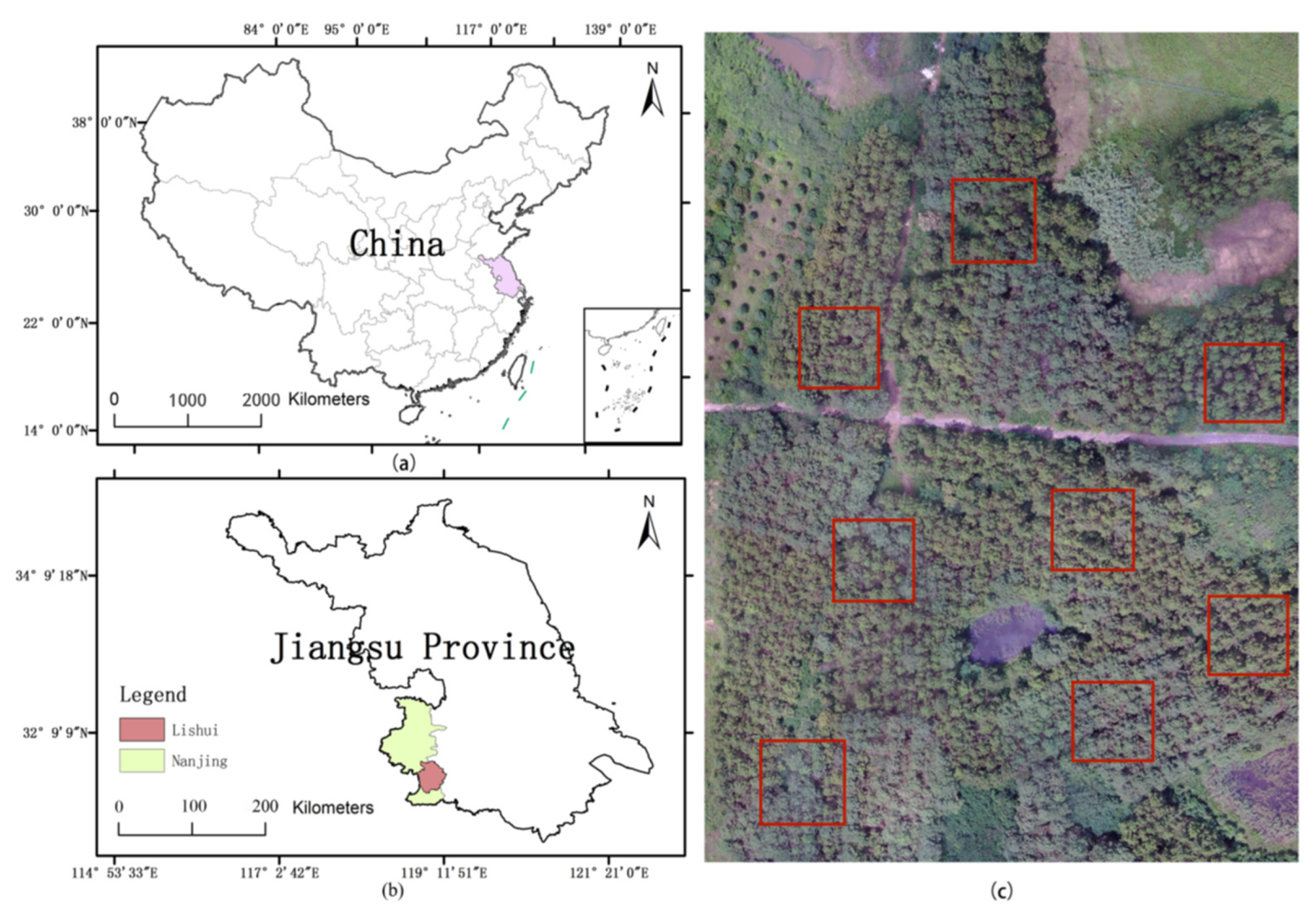 Remote Sensing | Free Full-Text | Exploring the Potential of UAV 