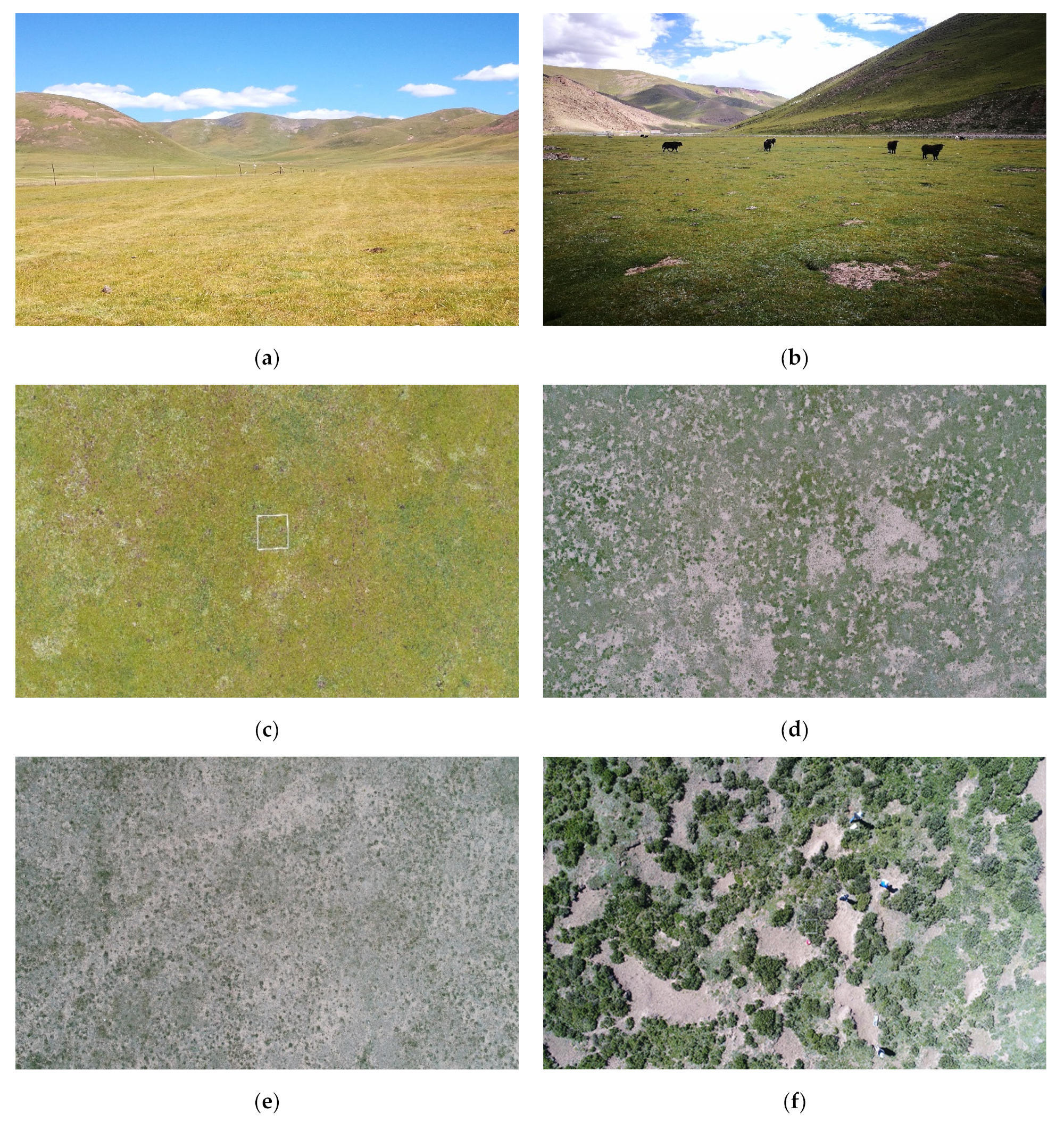 Remotesensing 15 02289 g002 Remotesensing 15 02289 g002