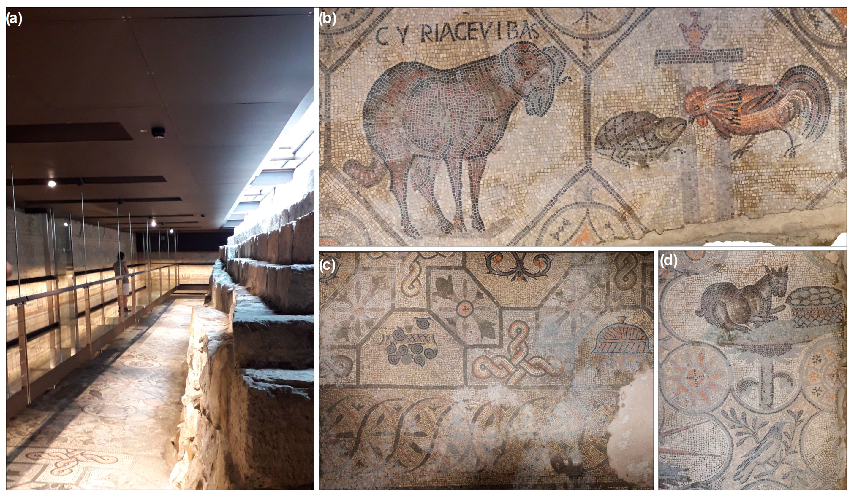 Remotesensing 15 02386 g003