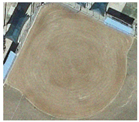 Remotesensing 15 02451 i020 Remotesensing 15 02451 i020