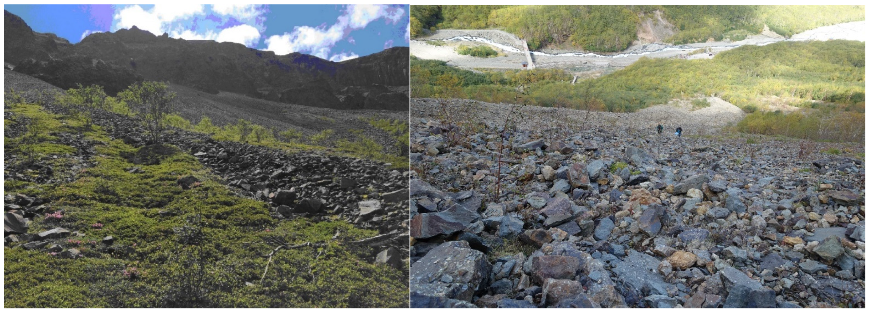 Remotesensing 15 02473 g008