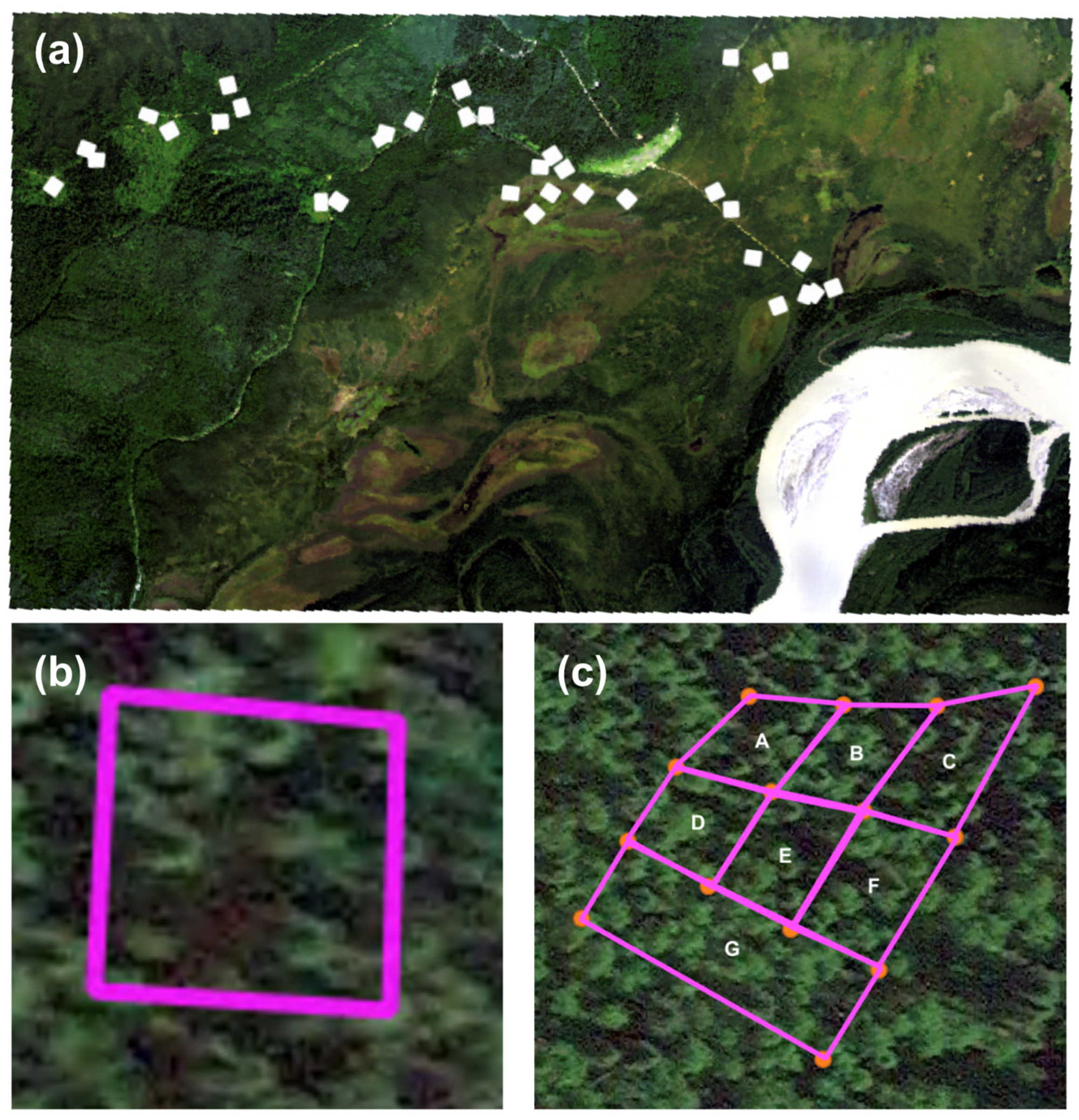 Remotesensing 15 02484 g003 Remotesensing 15 02484 g003