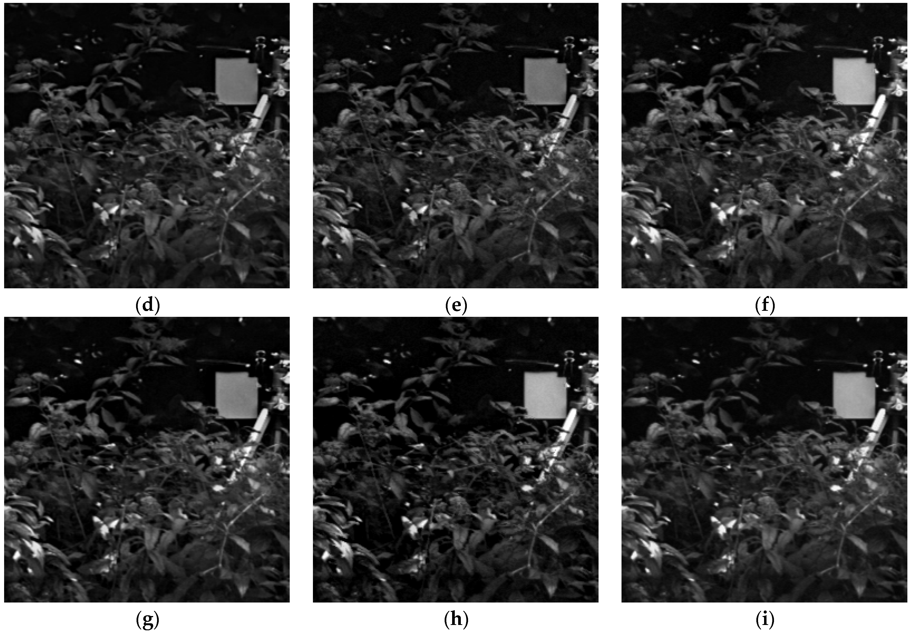 Remotesensing 15 02486 g006b