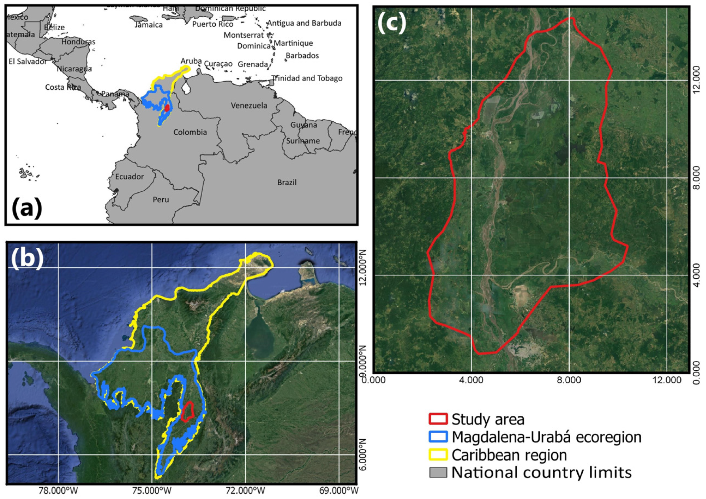 Remote Sensing | Free Full-Text | Advancing High-Resolution Land Cover  Mapping in Colombia: The Importance of a Locally Appropriate Legend