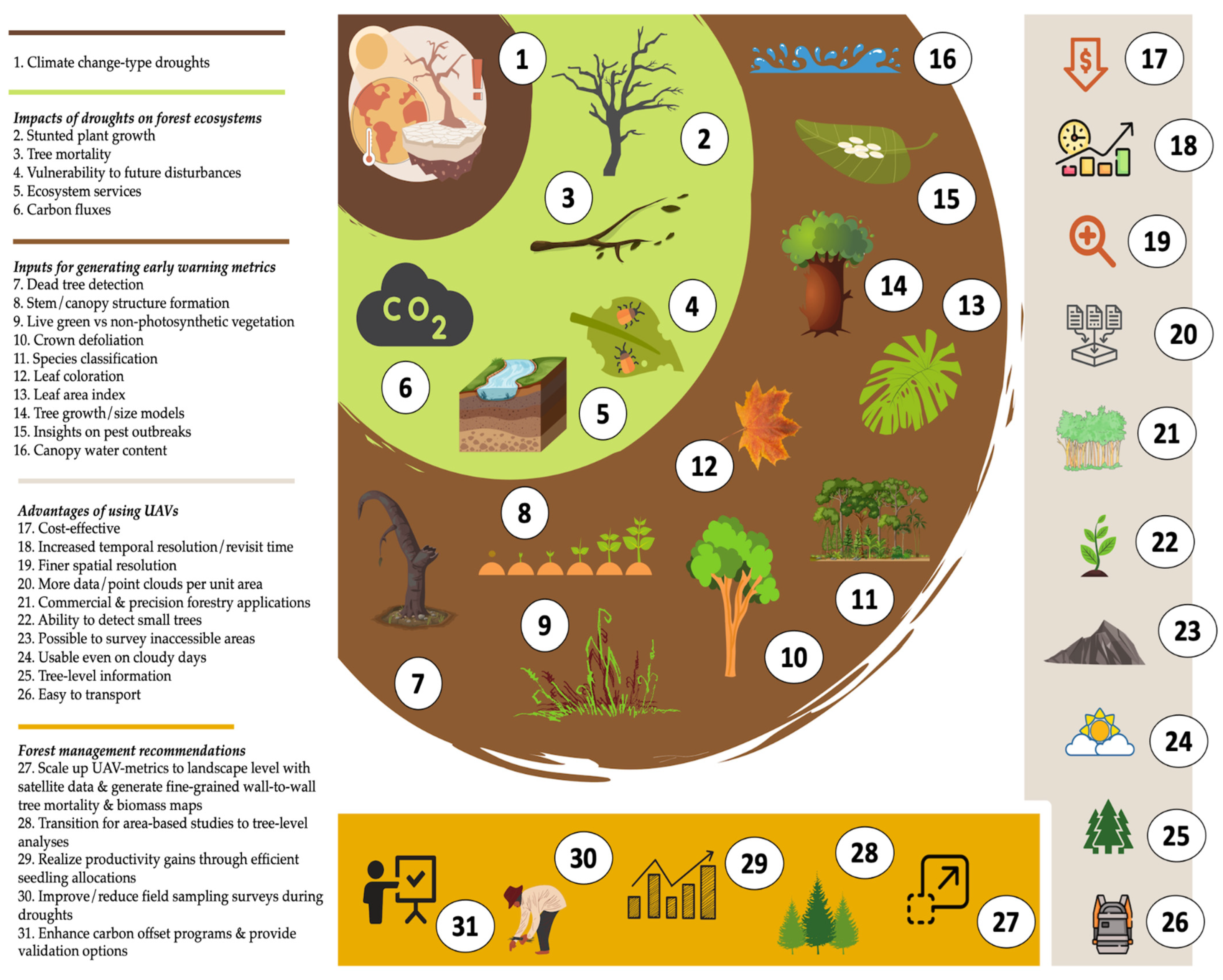 Frontiers  Growth patterns and environmental adaptions of the tree species  planted for ecological remediation in typhoon-disturbed areas—A case study  in Zhuhai, China