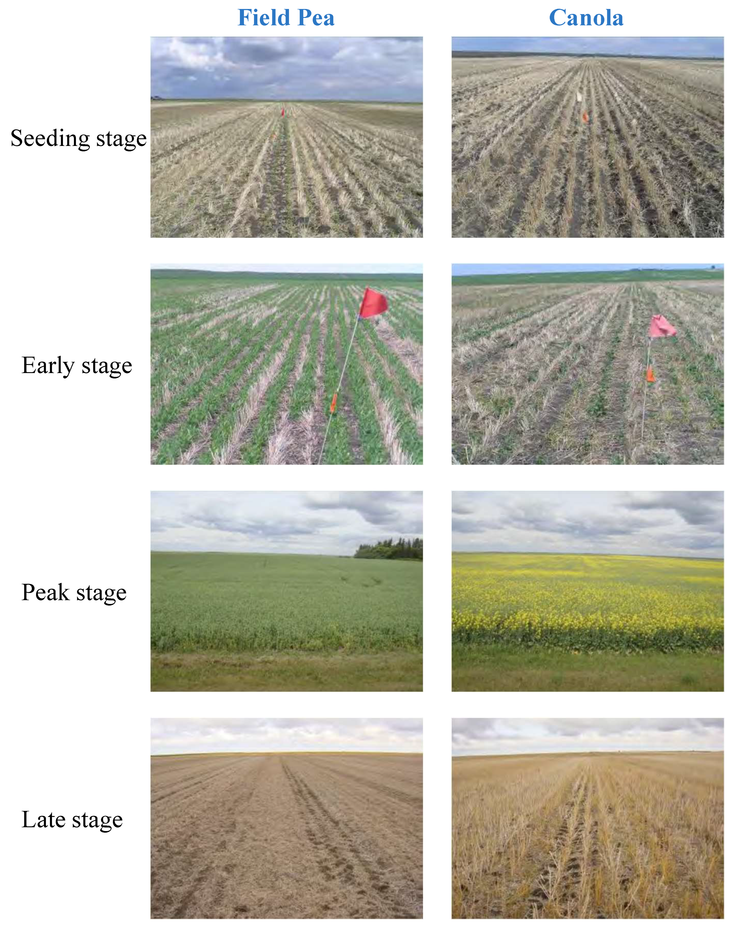 Remotesensing 15 02685 g009