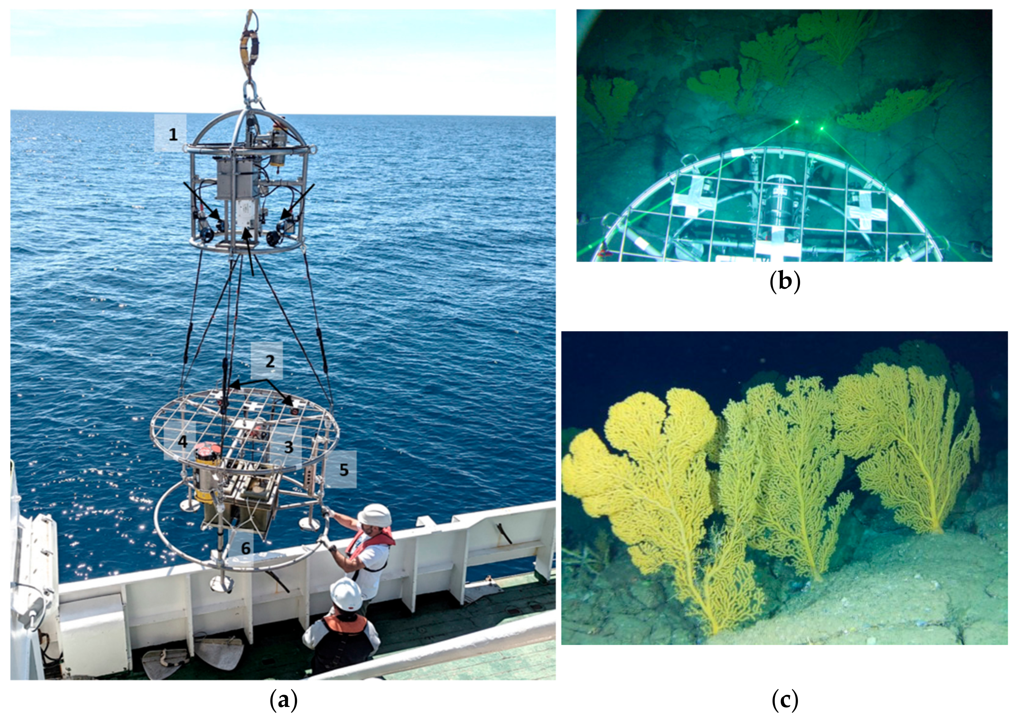 Remotesensing 15 02777 g002 Remotesensing 15 02777 g002