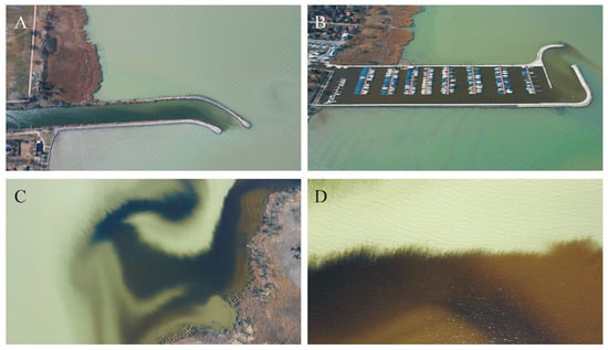 Remote Sensing | Free Full-Text | Drone-Based Imaging Polarimetry of Dark  Lake Patches from the Viewpoint of Flying Polarotactic Insects with  Ecological Implication
