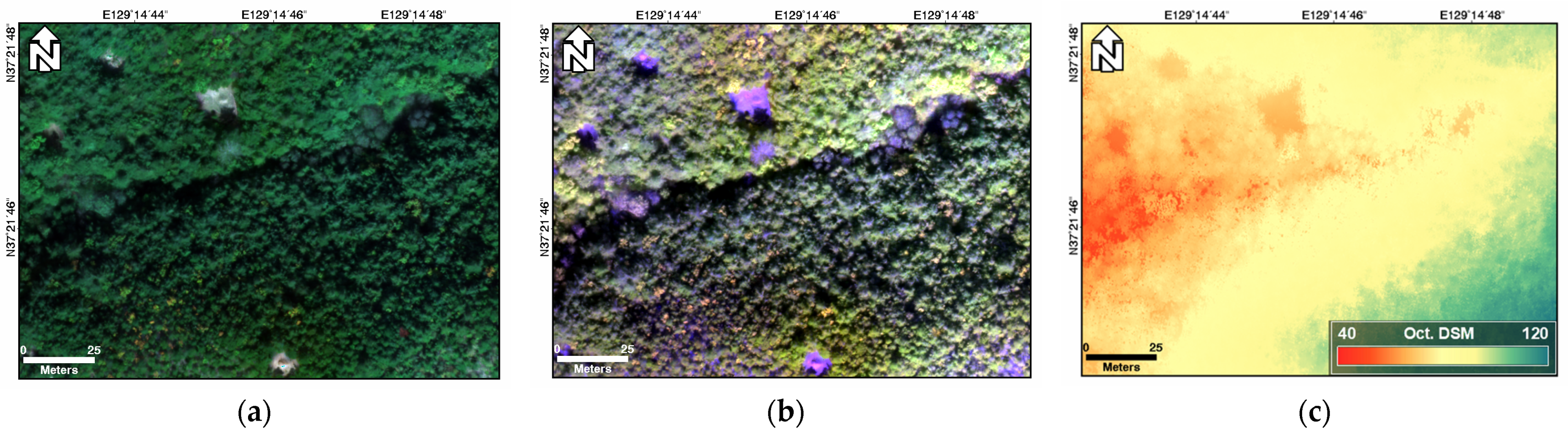 Remotesensing 15 02833 g004a Remotesensing 15 02833 g004a