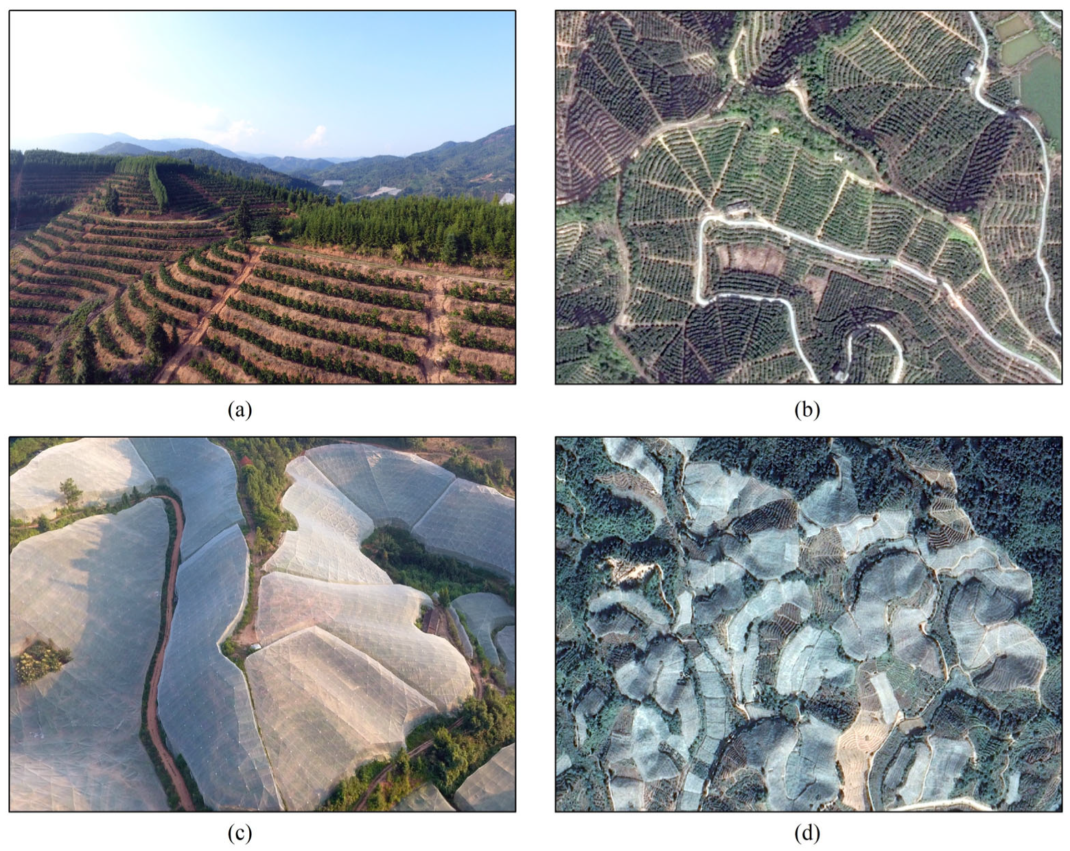 Remotesensing 15 02867 g002 Remotesensing 15 02867 g002