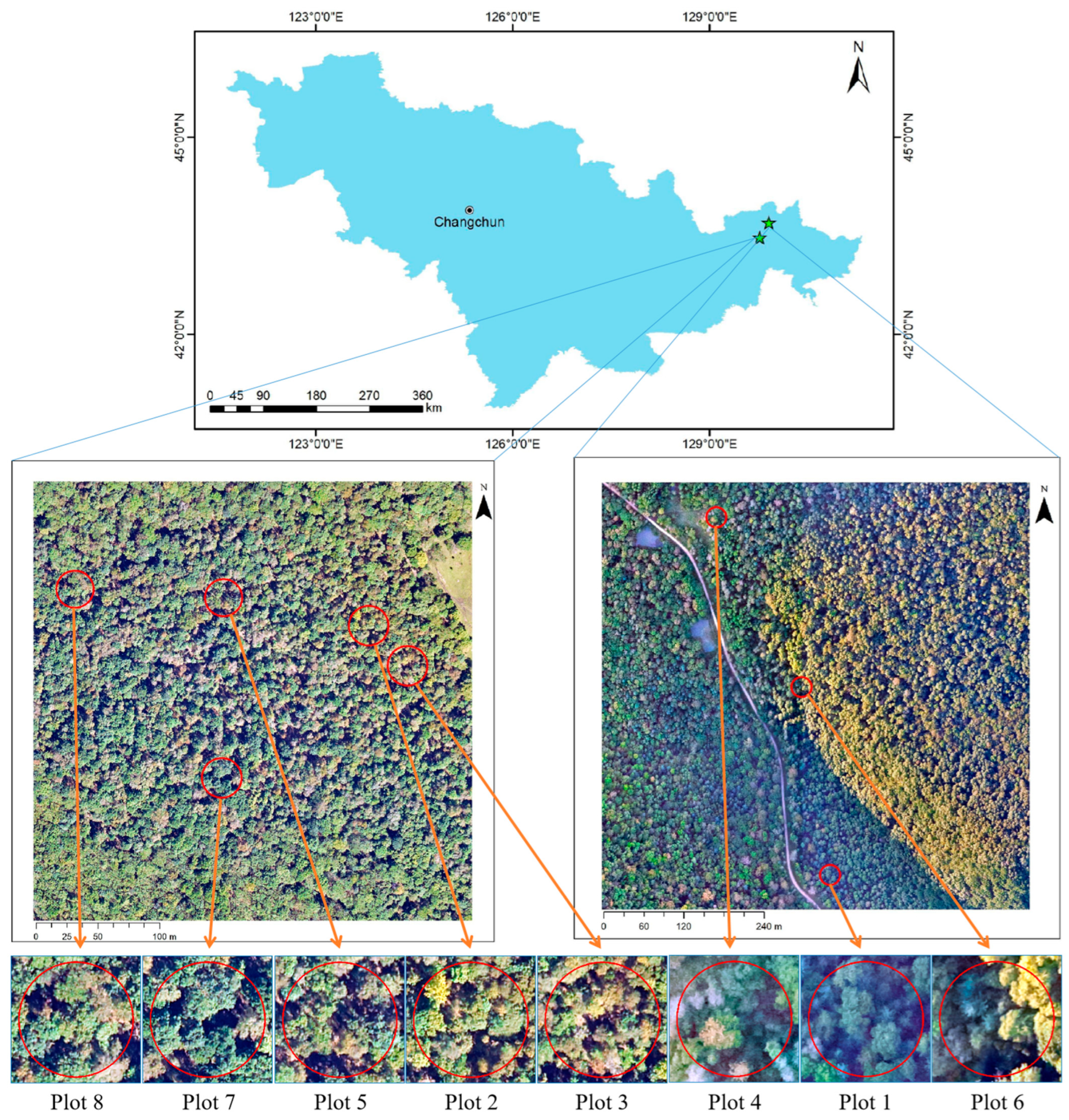 Remote Sensing Free Full Text Sample Plots Forestry Parameters